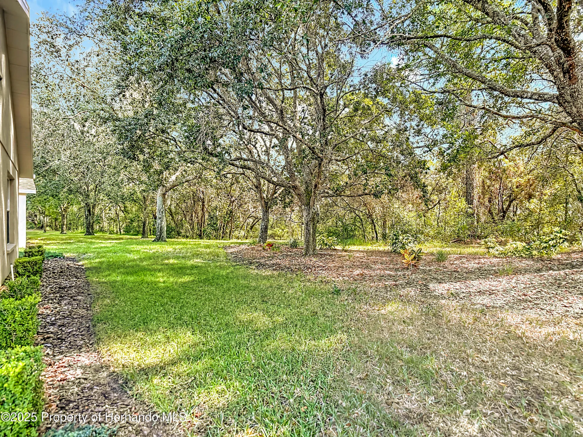 Property Slideshow image 18 of 19 | 11218 heathrow ave, Spring Hill, FL, 34609