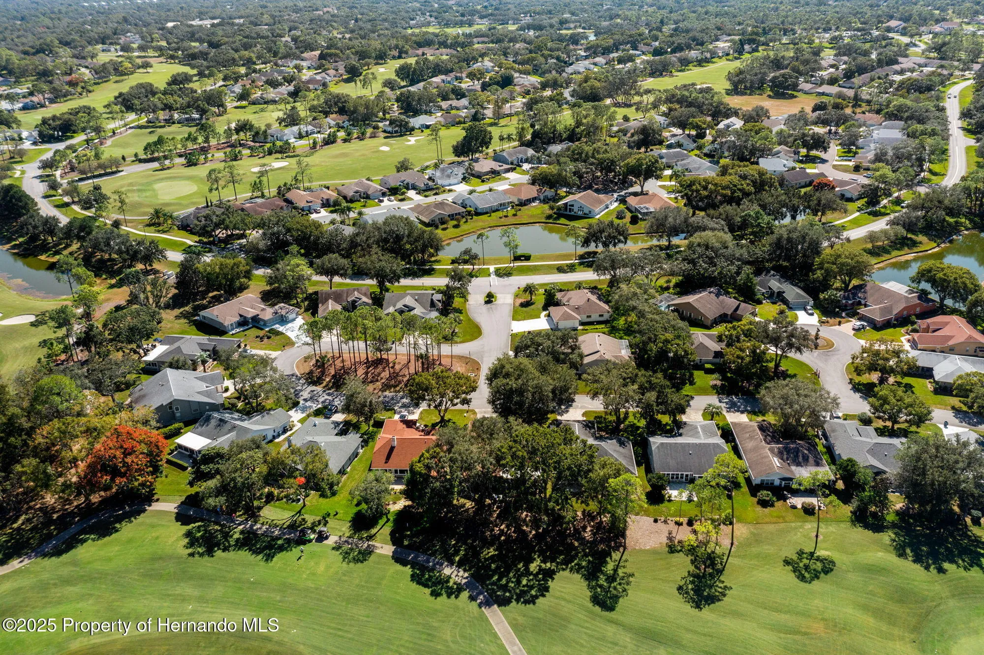 Property Slideshow image 52 of 100 | 3048 eagle bend rd, Spring Hill, FL, 34606