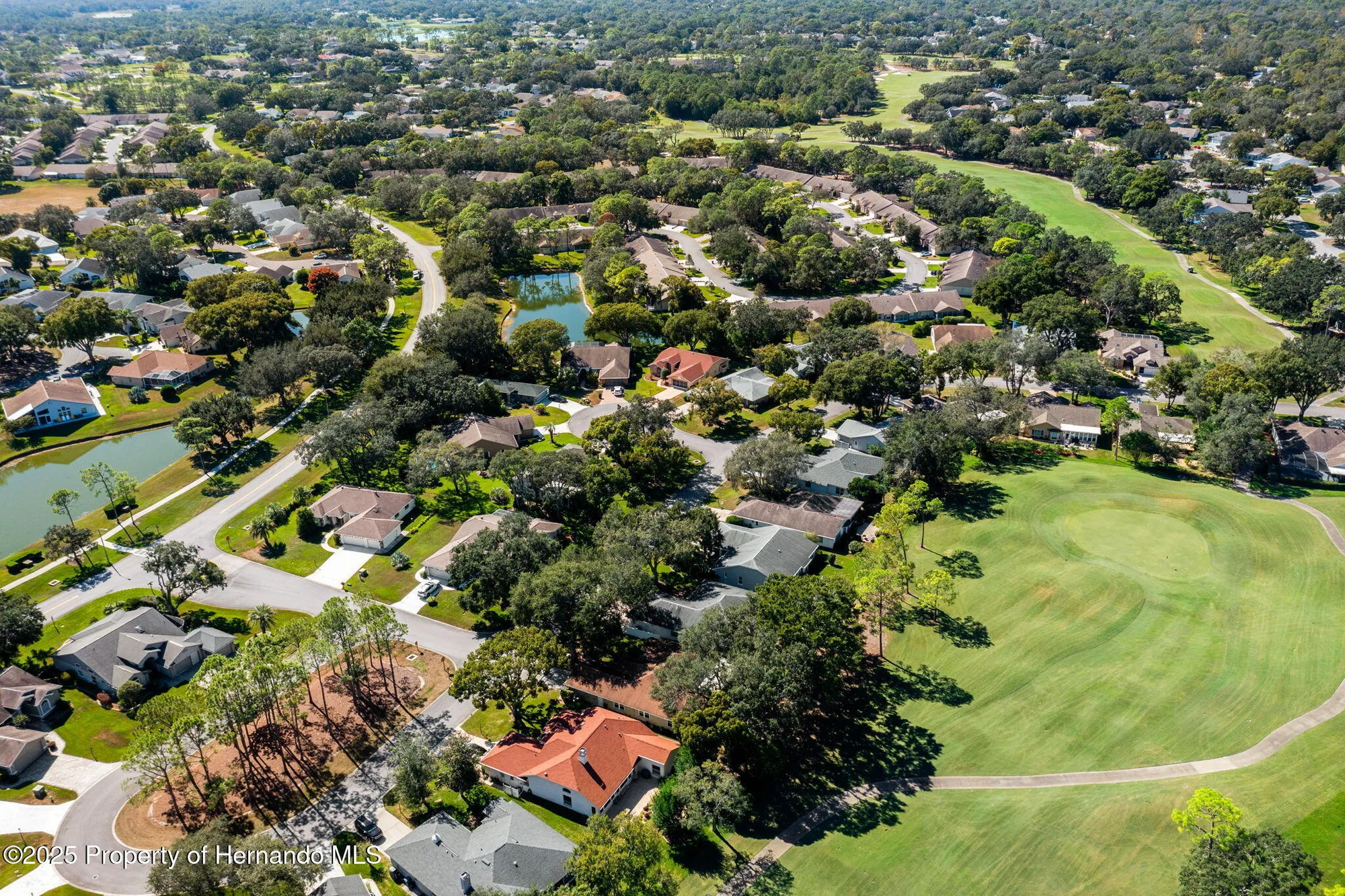 Property Slideshow image 54 of 100 | 3048 eagle bend rd, Spring Hill, FL, 34606
