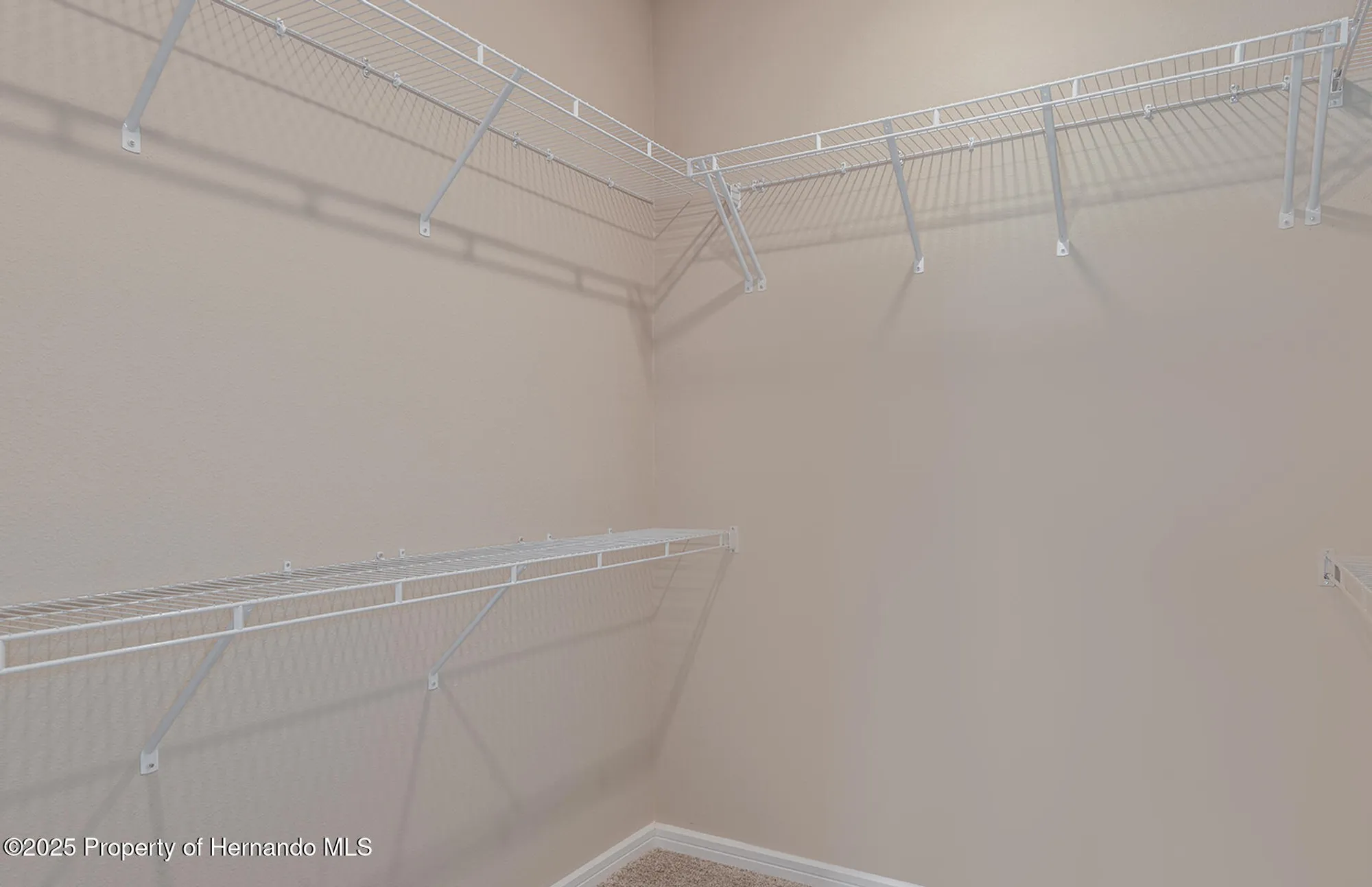 Property Slideshow image 9 of 29 | 13772 rocky pine pl, Spring Hill(Pasco), FL, 34610