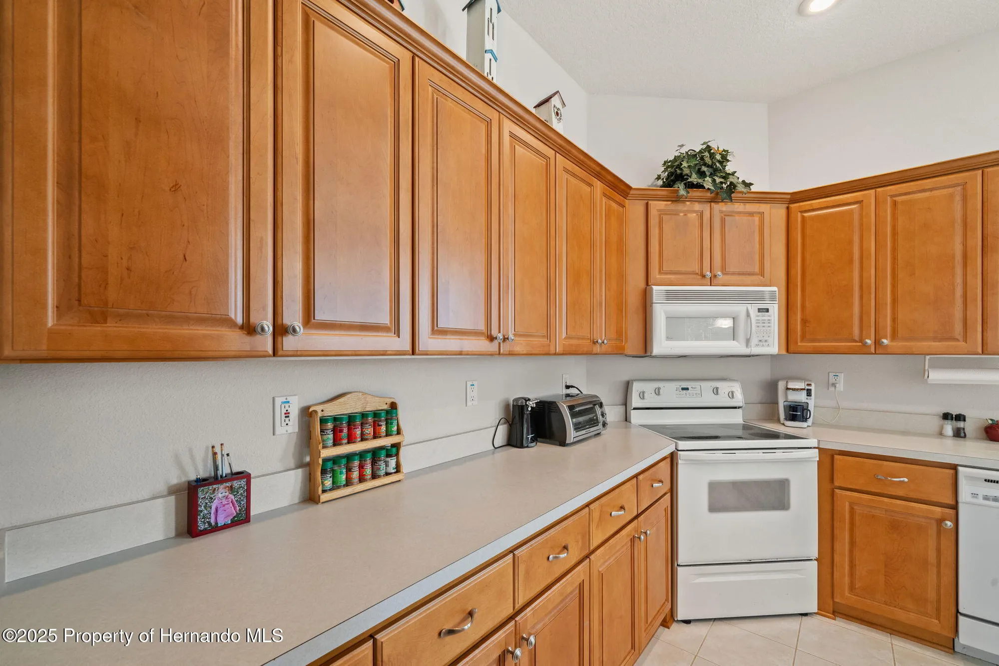 Property Slideshow image 10 of 51 | 10199 holly berry dr, Weeki Wachee, FL, 34613