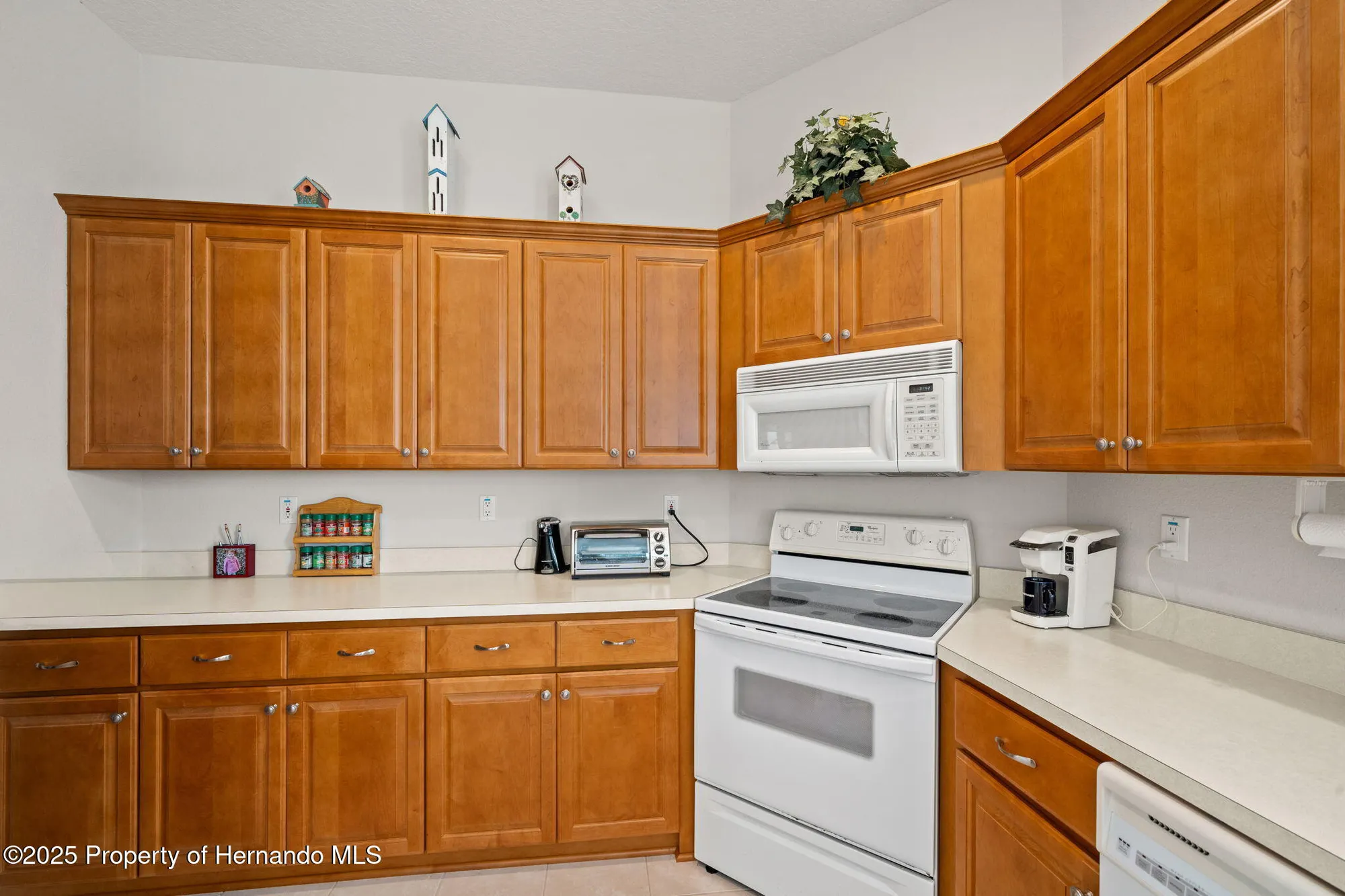 Property Slideshow image 13 of 51 | 10199 holly berry dr, Weeki Wachee, FL, 34613