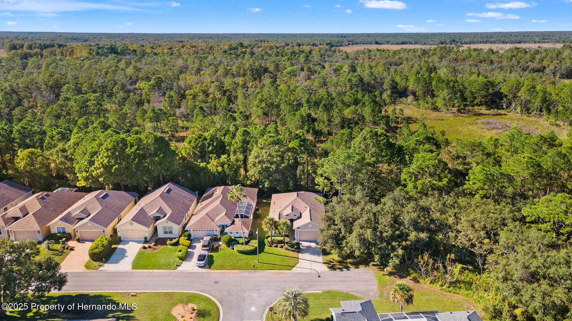 Property Slideshow image 39 of 51 | 10199 holly berry dr, Weeki Wachee, FL, 34613