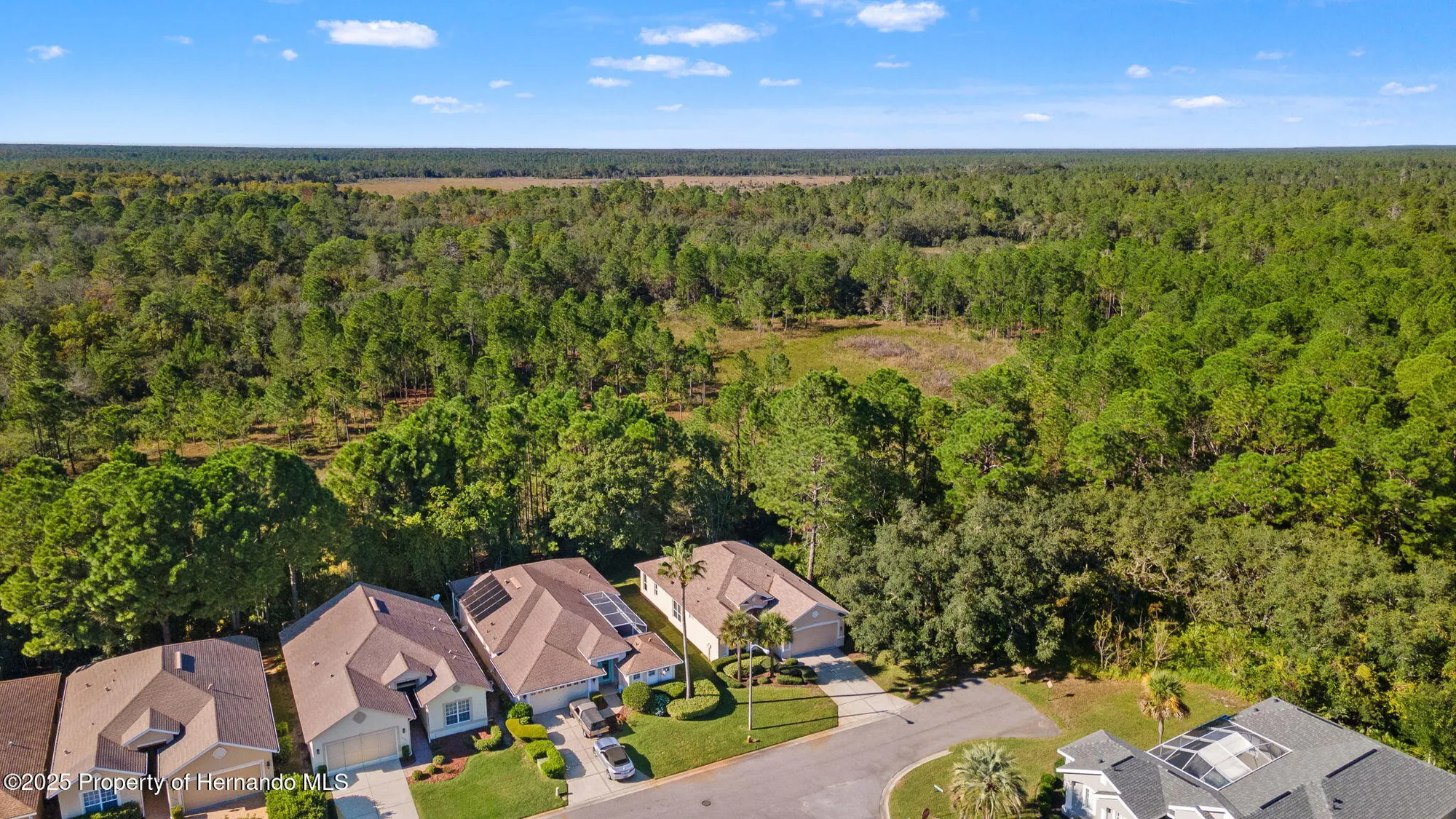 Property Slideshow image 40 of 51 | 10199 holly berry dr, Weeki Wachee, FL, 34613