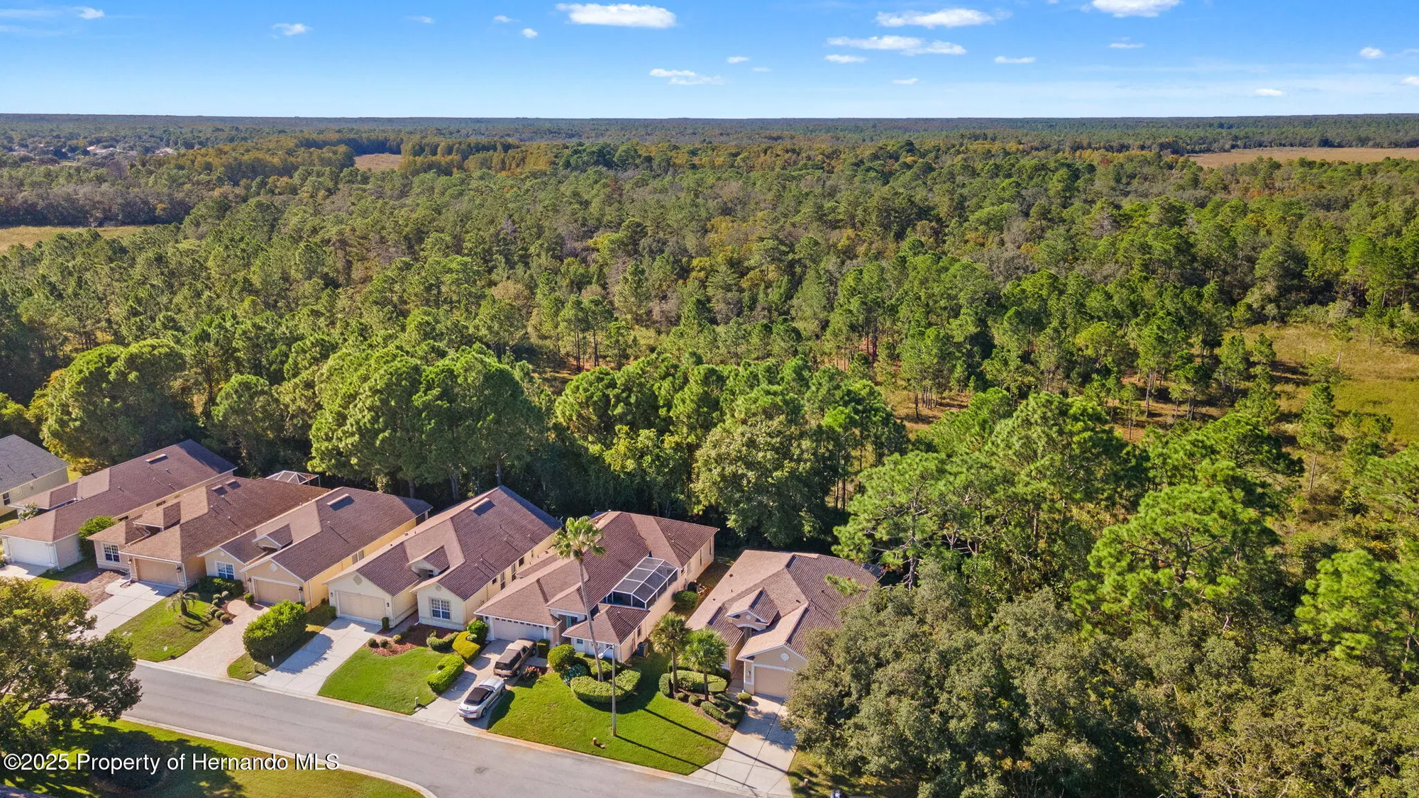 Property Slideshow image 41 of 51 | 10199 holly berry dr, Weeki Wachee, FL, 34613