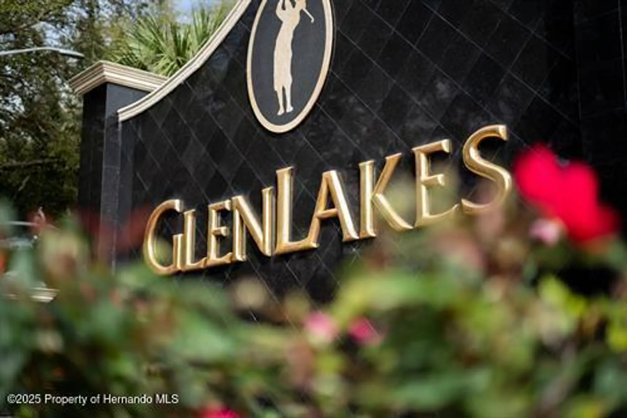 Property Slideshow image 45 of 51 | 10199 holly berry dr, Weeki Wachee, FL, 34613