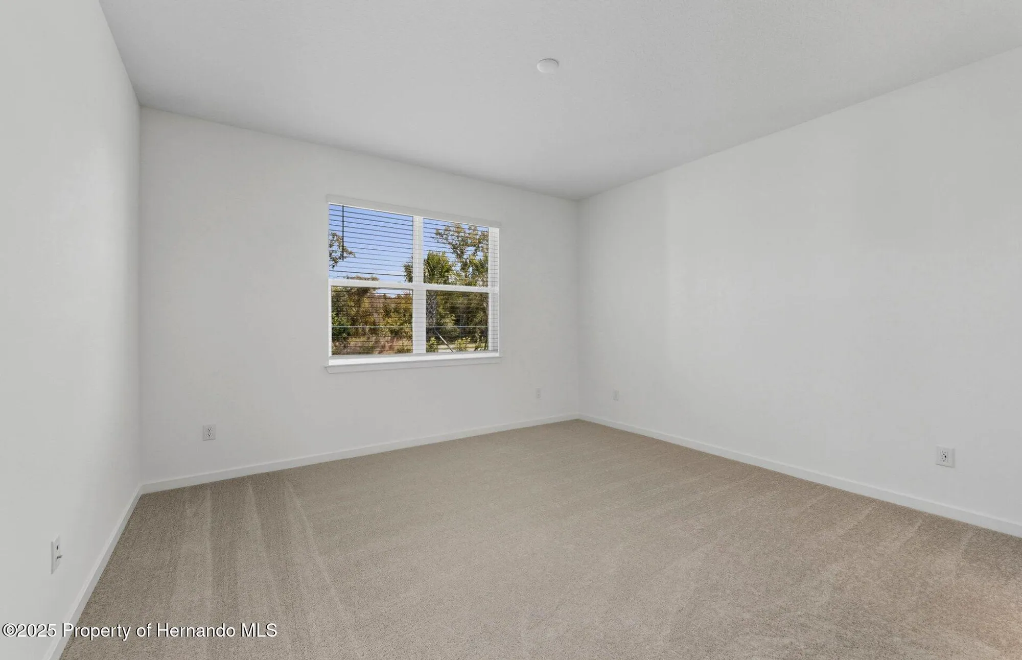 Property Slideshow image 7 of 30 | 13764 rocky pine pl, Spring Hill(Pasco), FL, 34610