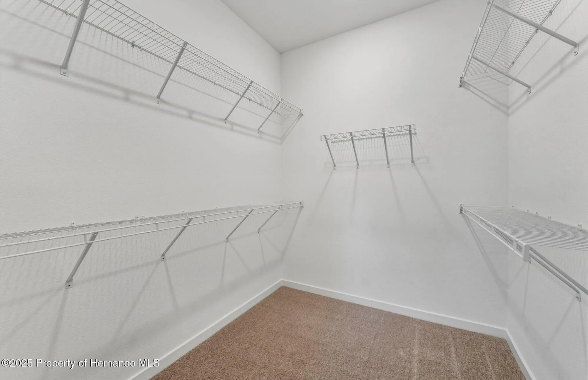 Property Slideshow image 9 of 30 | 13764 rocky pine pl, Spring Hill(Pasco), FL, 34610