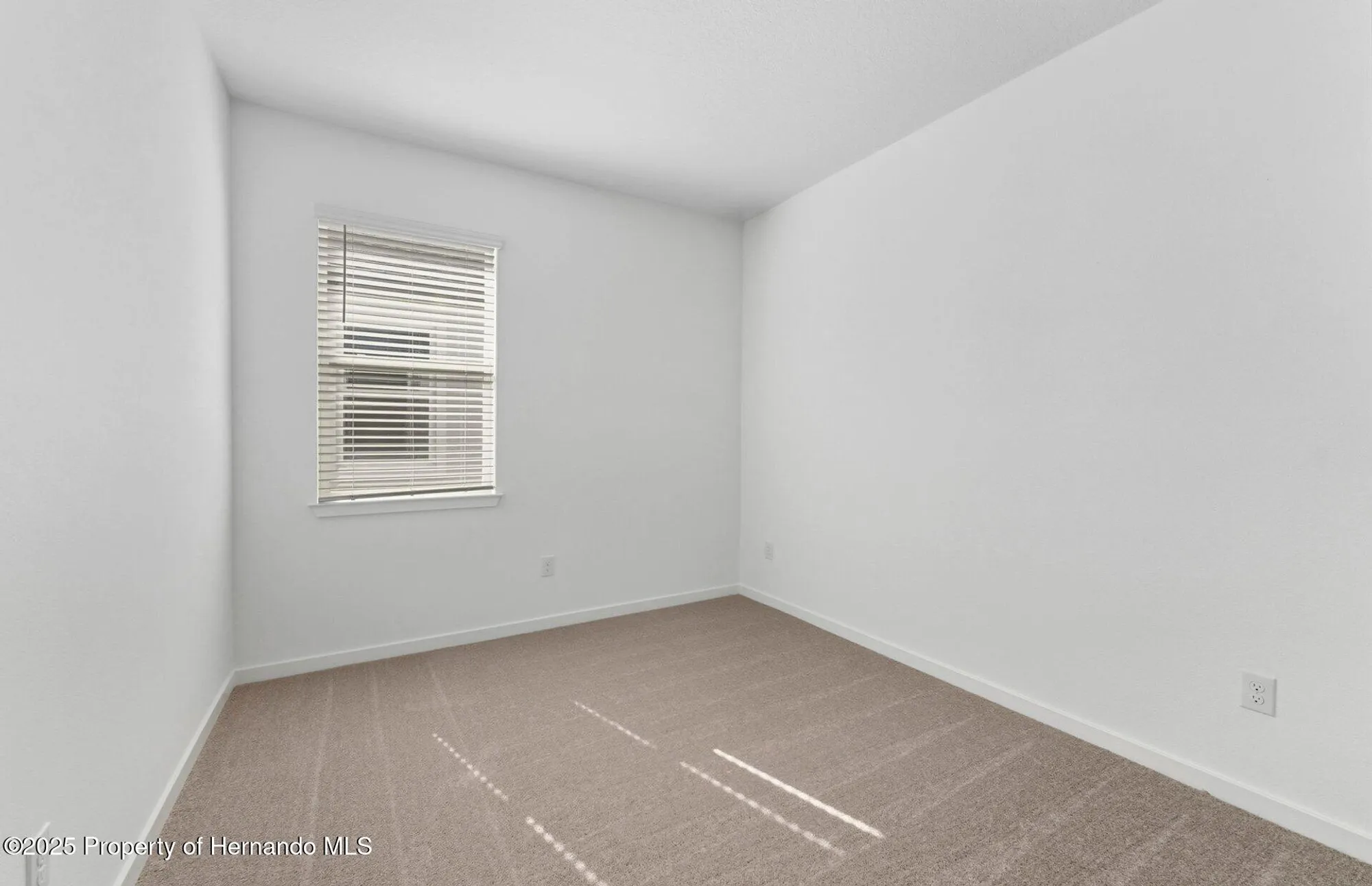 Property Slideshow image 11 of 30 | 13764 rocky pine pl, Spring Hill(Pasco), FL, 34610