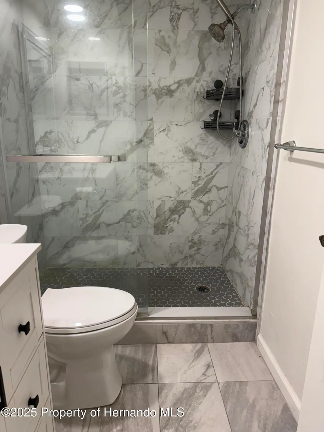 Property Slideshow image 10 of 67 | 6408 pine meadows dr, Spring Hill, FL, 34606