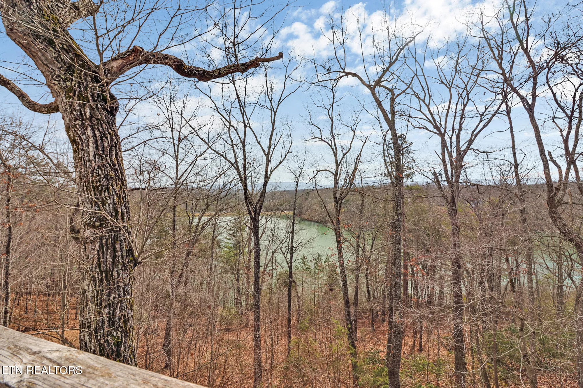 Property Slideshow image 31 of 37 | 27 brambleton ct, Crossville, TN, 38558