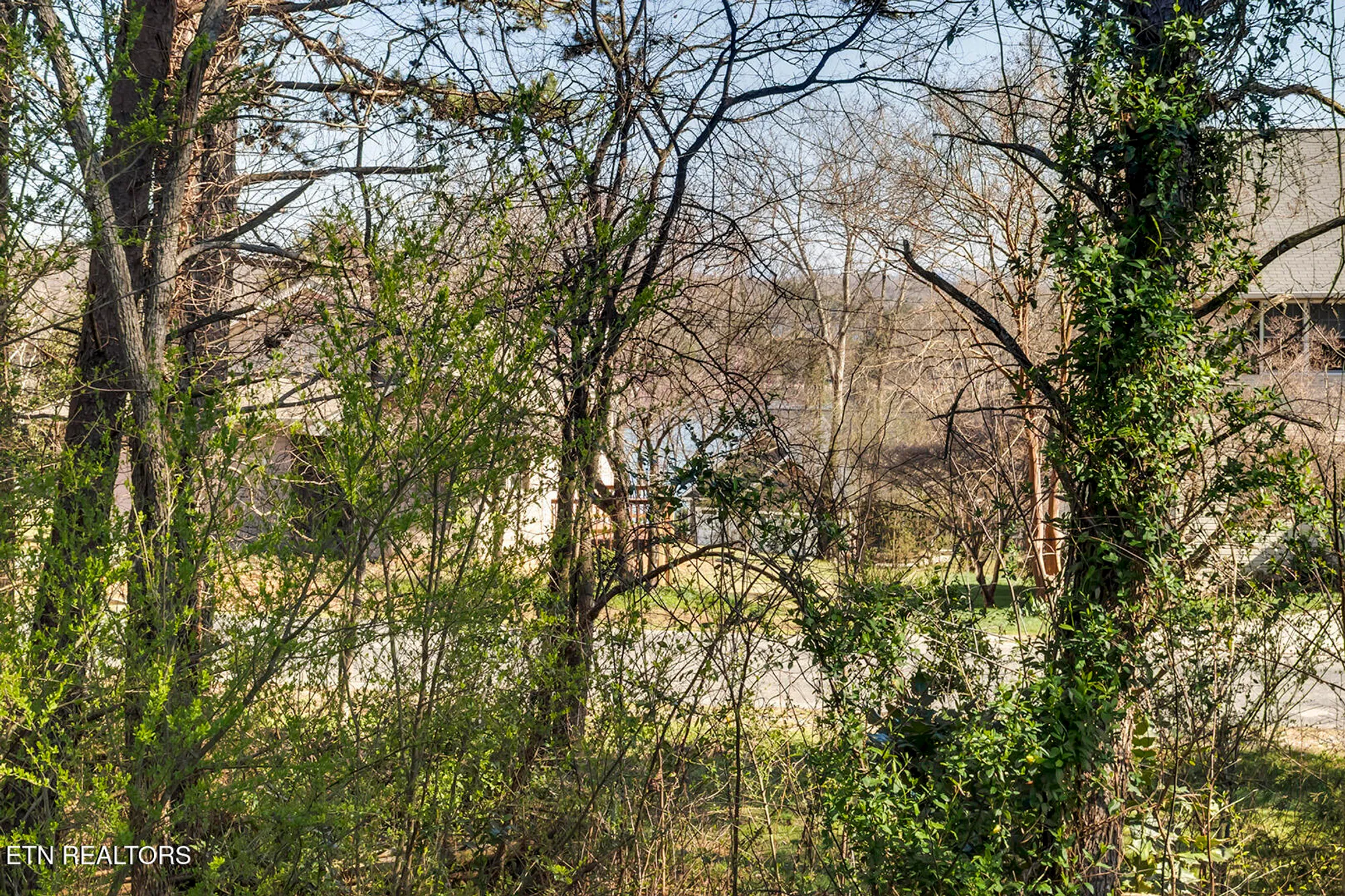 Property Slideshow image 46 of 59 | 192 amohi way, Loudon, TN, 37774