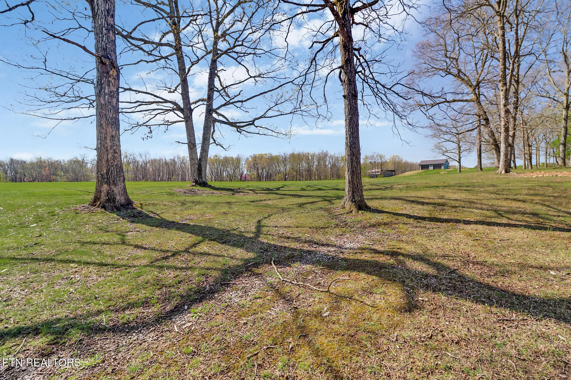 Property Slideshow image 23 of 30 | 99 eagle ct, Crossville, TN, 38558