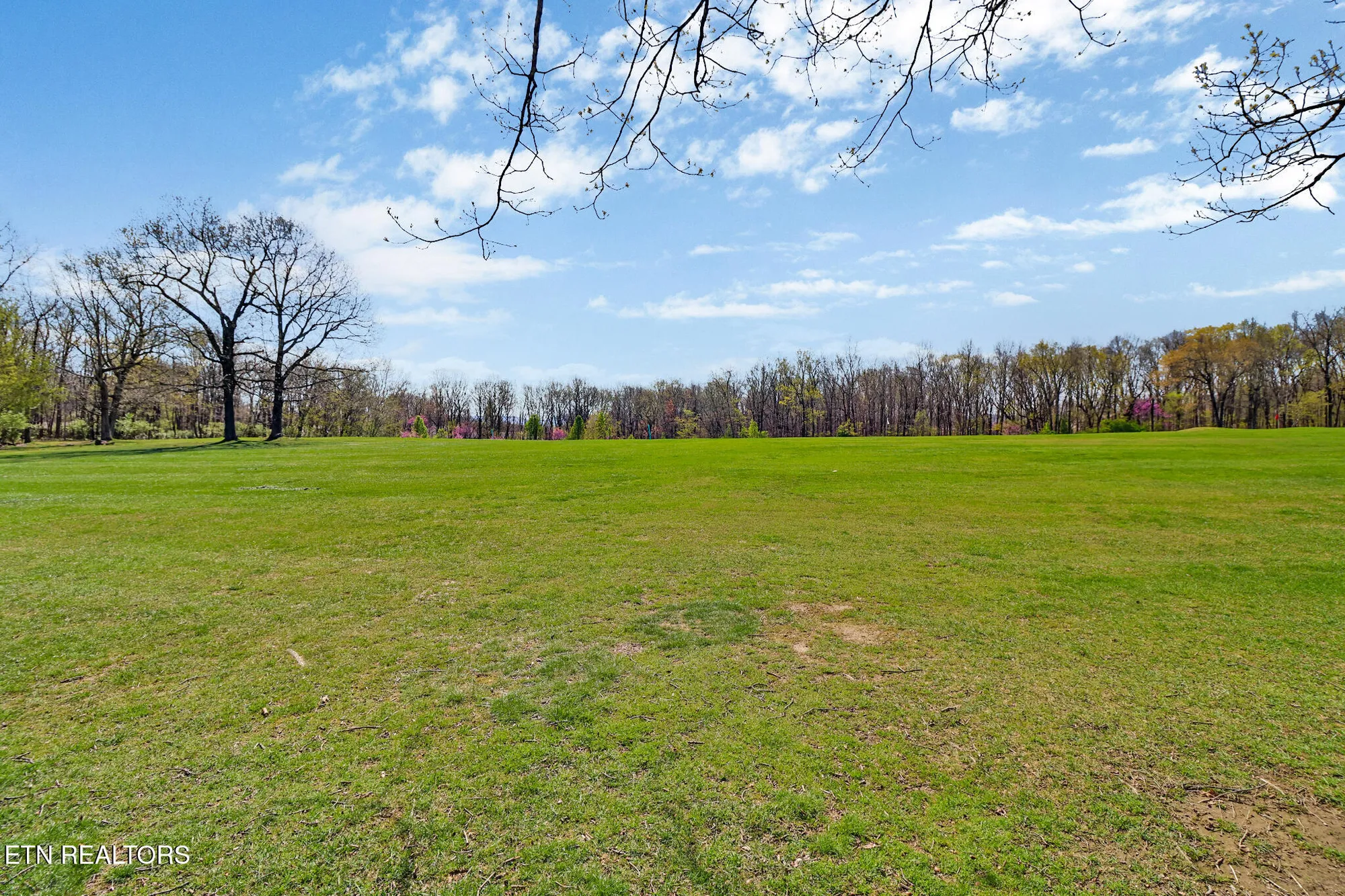 Property Slideshow image 24 of 30 | 99 eagle ct, Crossville, TN, 38558