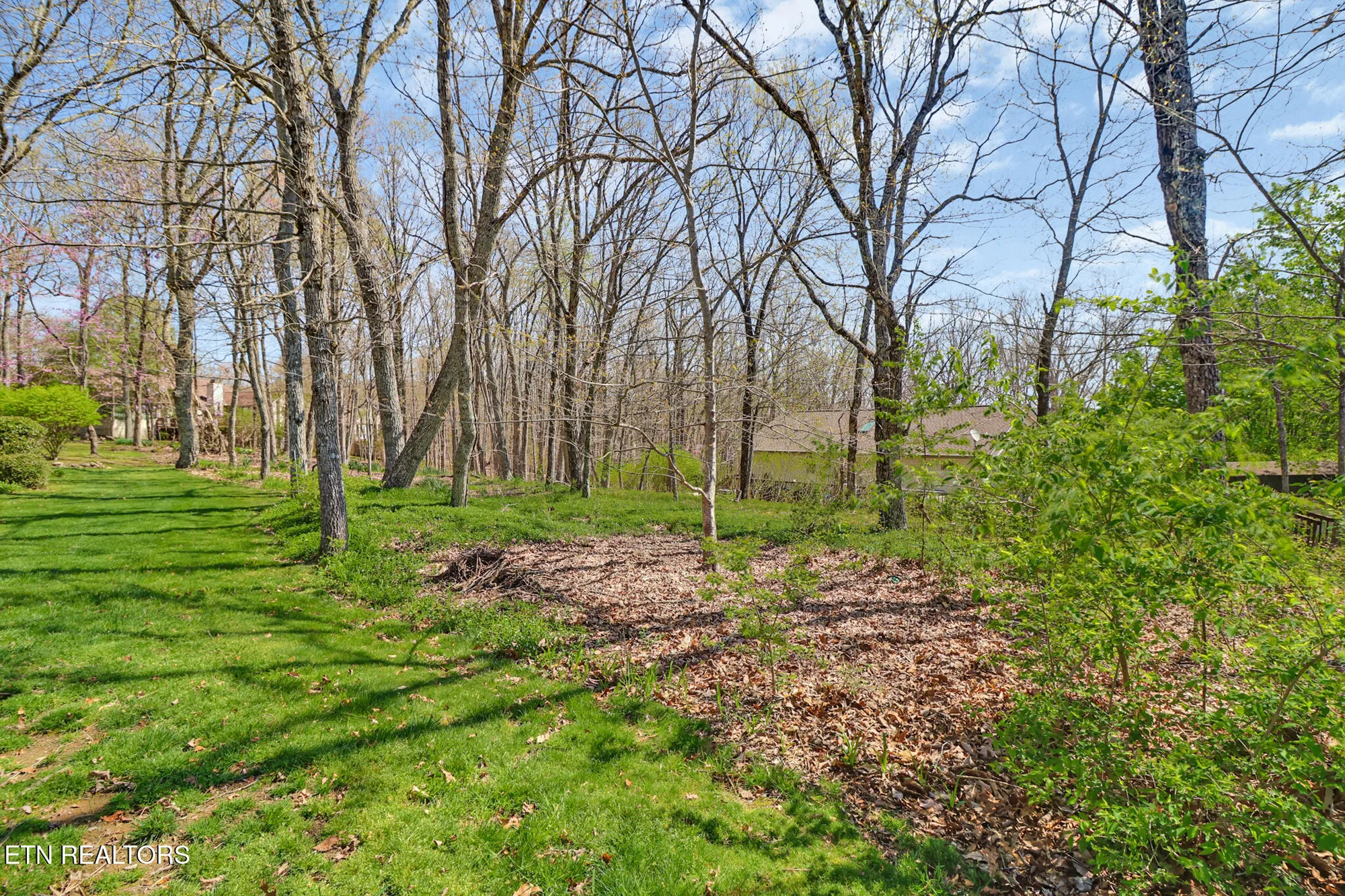 Property Slideshow image 44 of 55 | 230 amherst ln, Crossville, TN, 38558