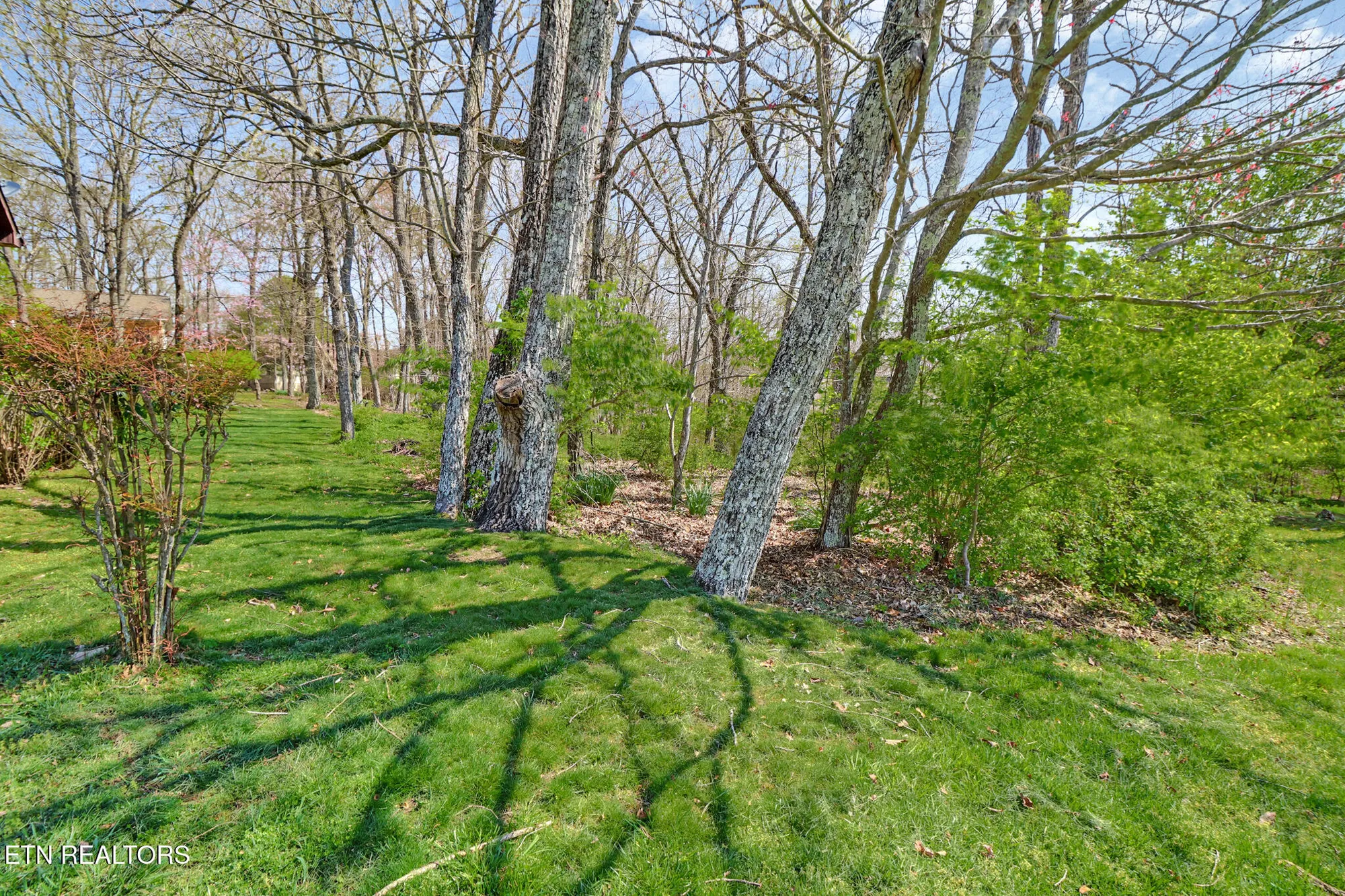 Property Slideshow image 43 of 55 | 230 amherst ln, Crossville, TN, 38558