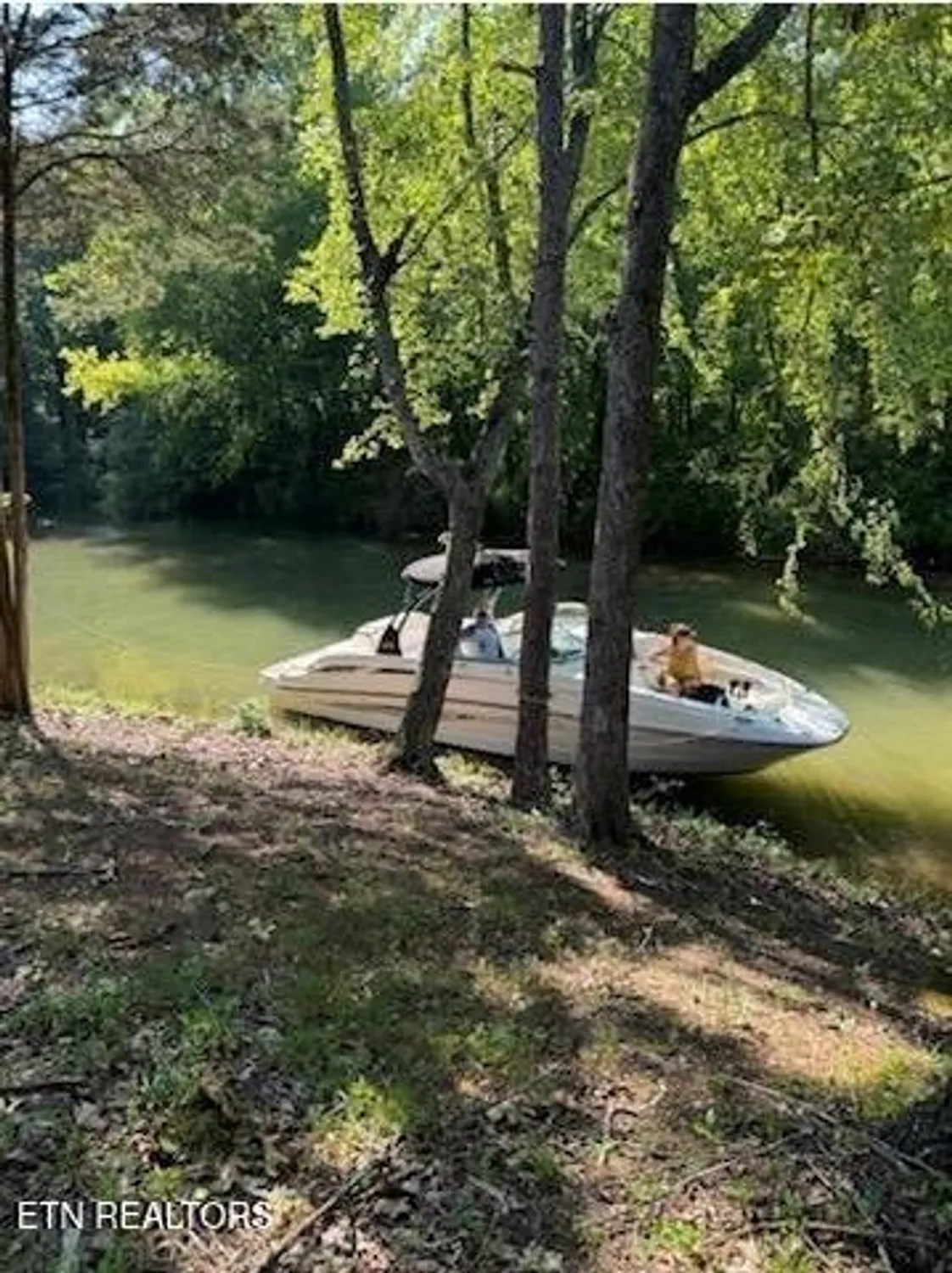 Property Slideshow image 56 of 66 | 231 chuniloti way, Loudon, TN, 37774