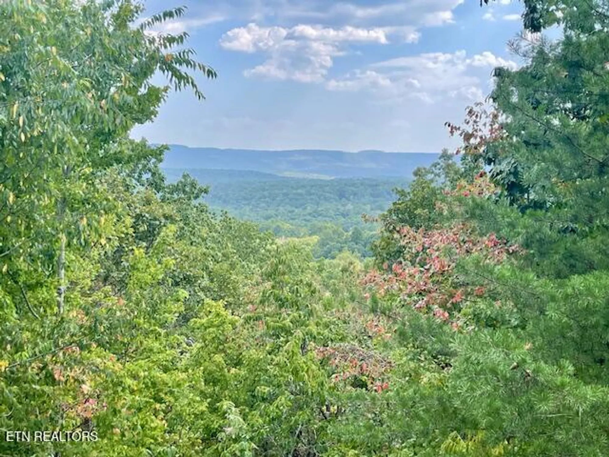 Property Slideshow image 3 of 38 | 25 shawnbury pt, Crossville, TN, 38558