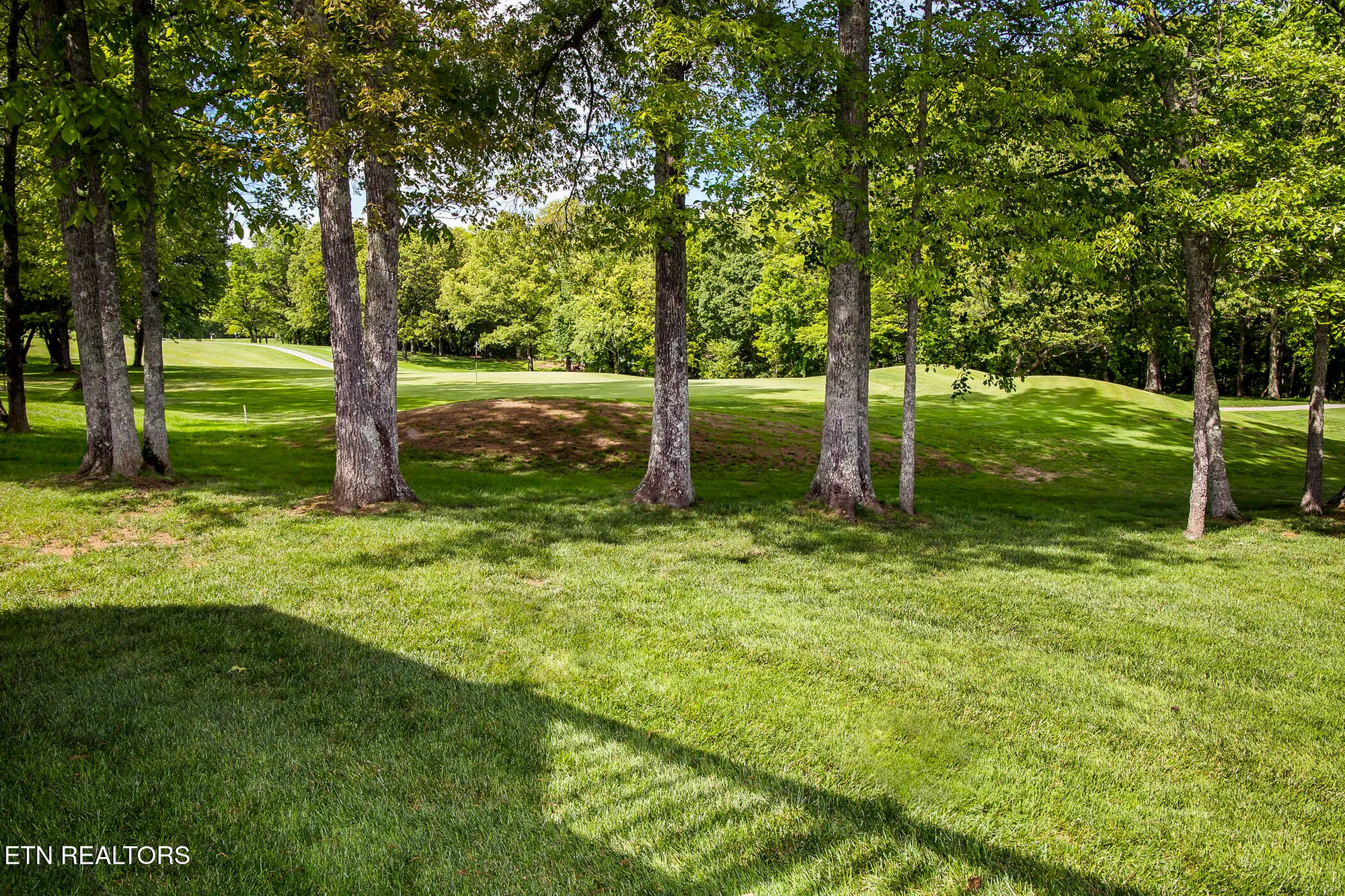 Property Slideshow image 6 of 60 | 146 cappshire rd, Crossville, TN, 38558