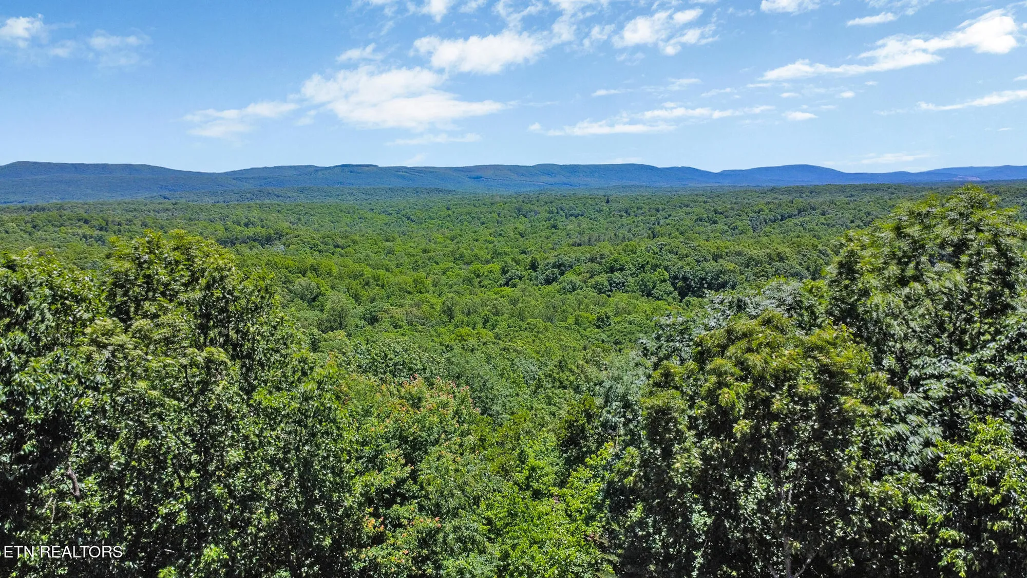 Property Slideshow image 36 of 38 | 25 shawnbury pt, Crossville, TN, 38558