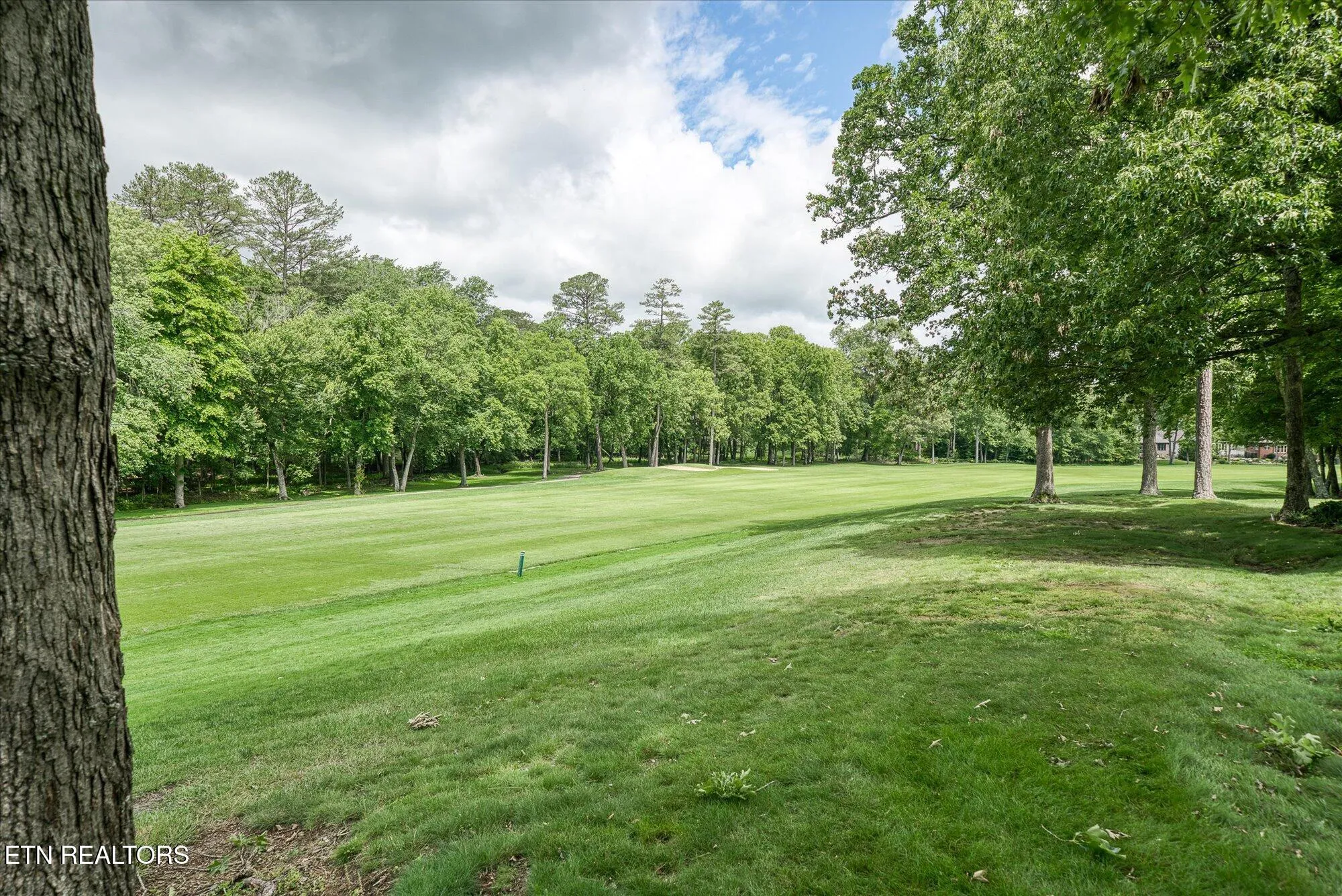 Property Slideshow image 13 of 63 | 36 thames ct, Crossville, TN, 38558