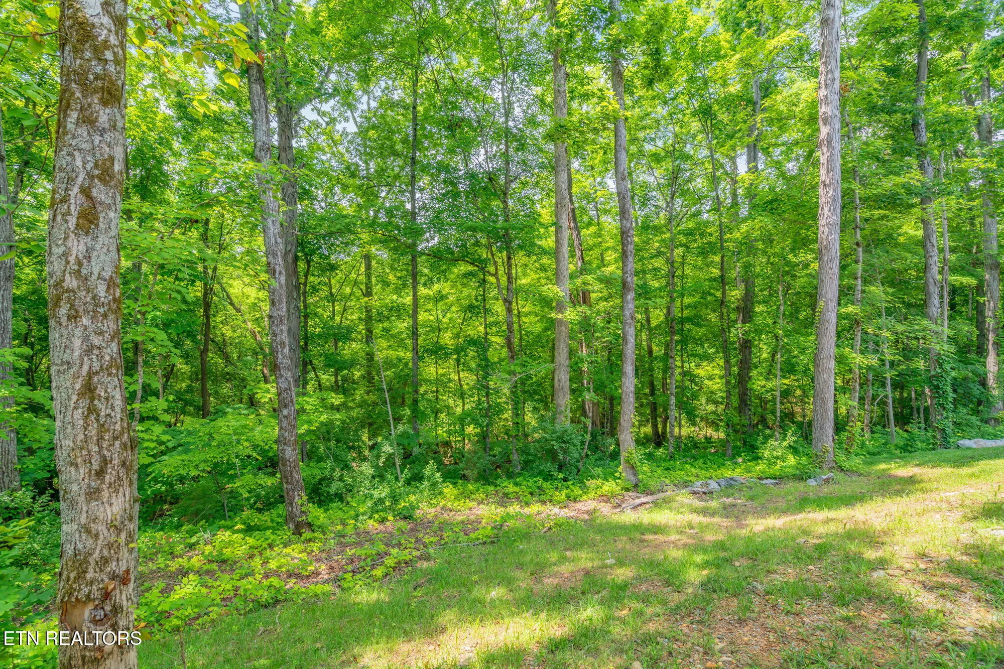 Property Slideshow image 58 of 60 | 285 odali trce, Loudon, TN, 37774