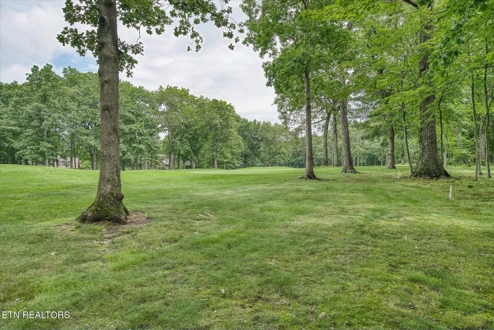 Property Slideshow image 35 of 47 | 21 lexham ct, Crossville, TN, 38558