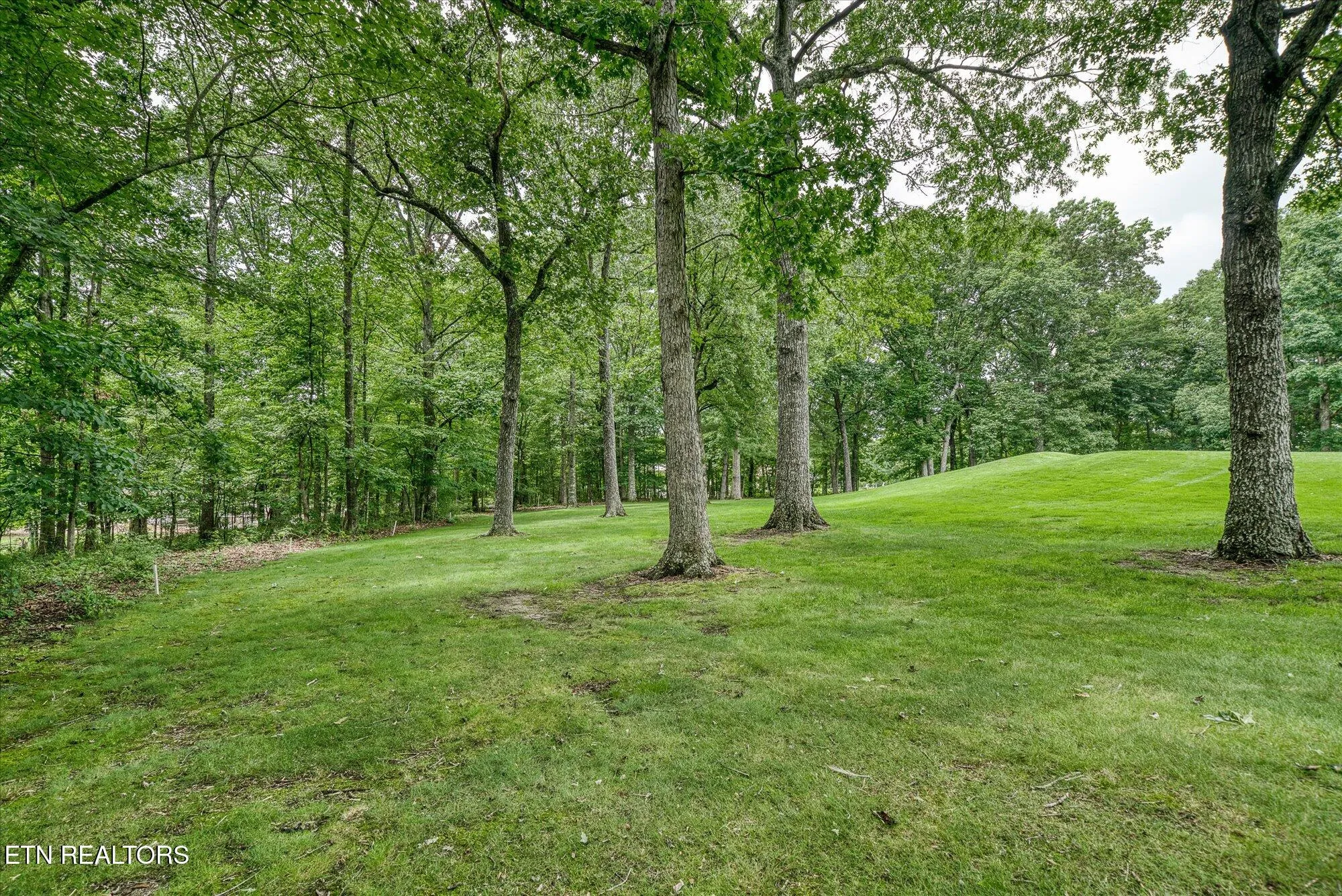 Property Slideshow image 41 of 47 | 21 lexham ct, Crossville, TN, 38558