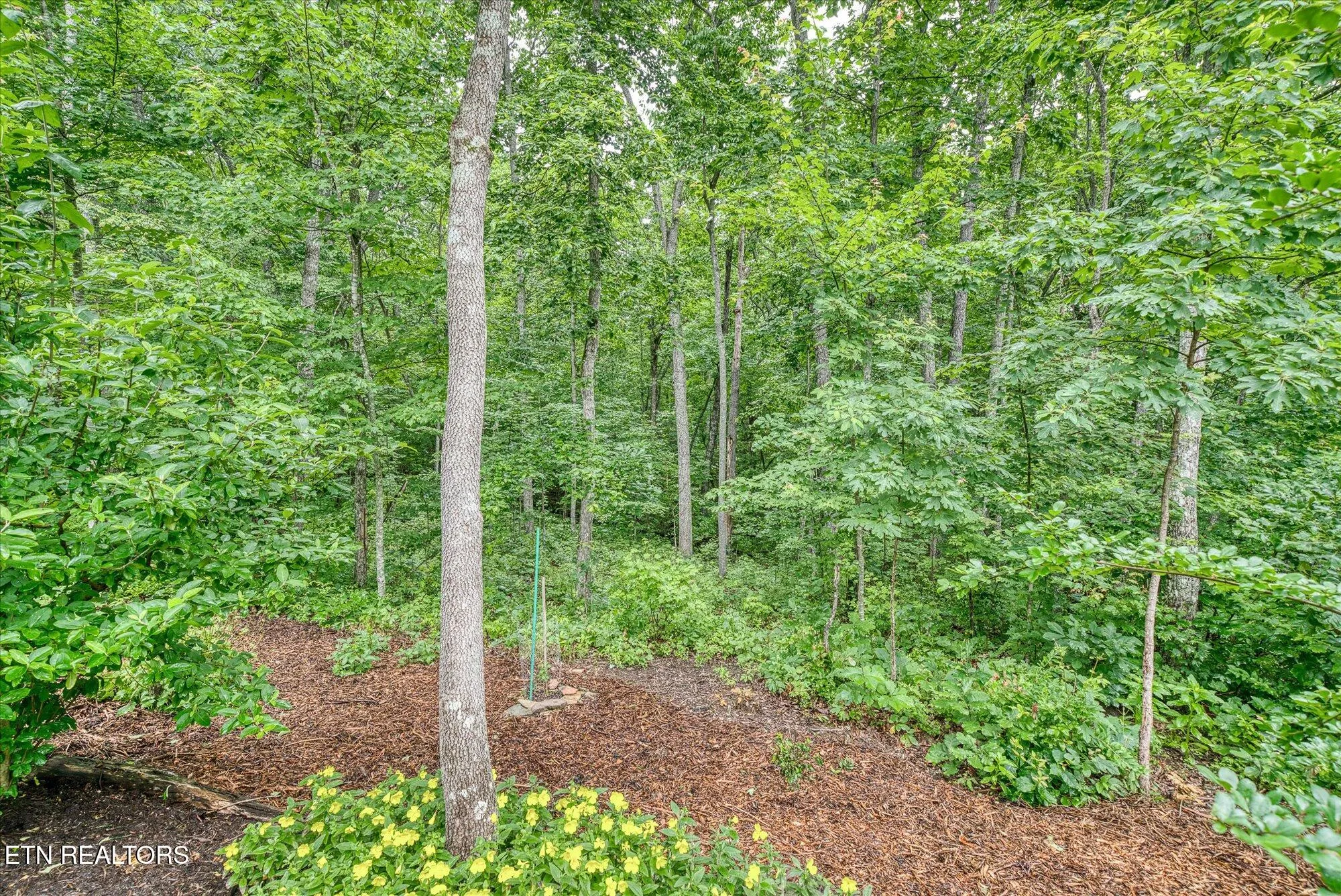 Property Slideshow image 46 of 60 | 130 folkstone rd, Crossville, TN, 38558