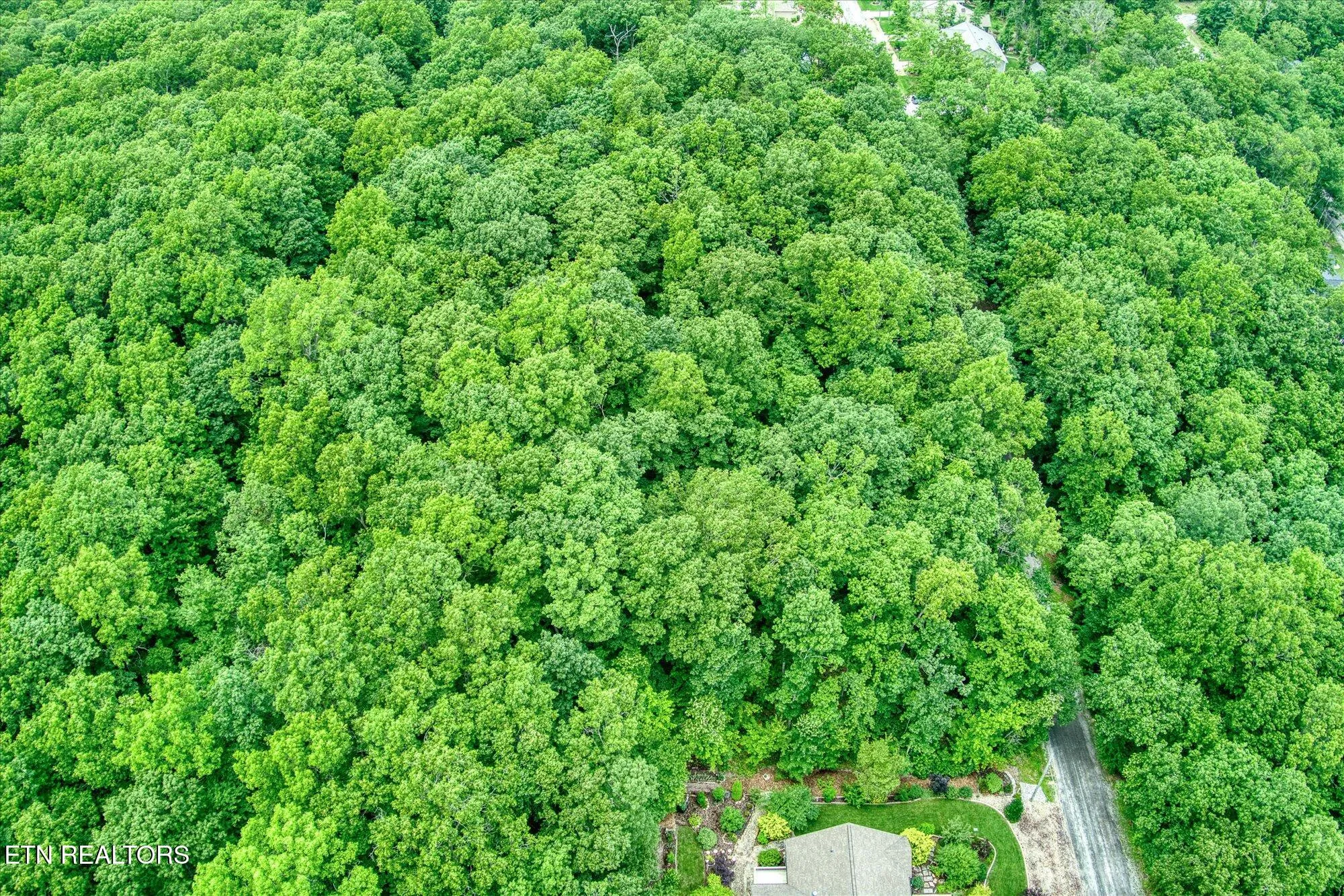 Property Slideshow image 59 of 60 | 130 folkstone rd, Crossville, TN, 38558