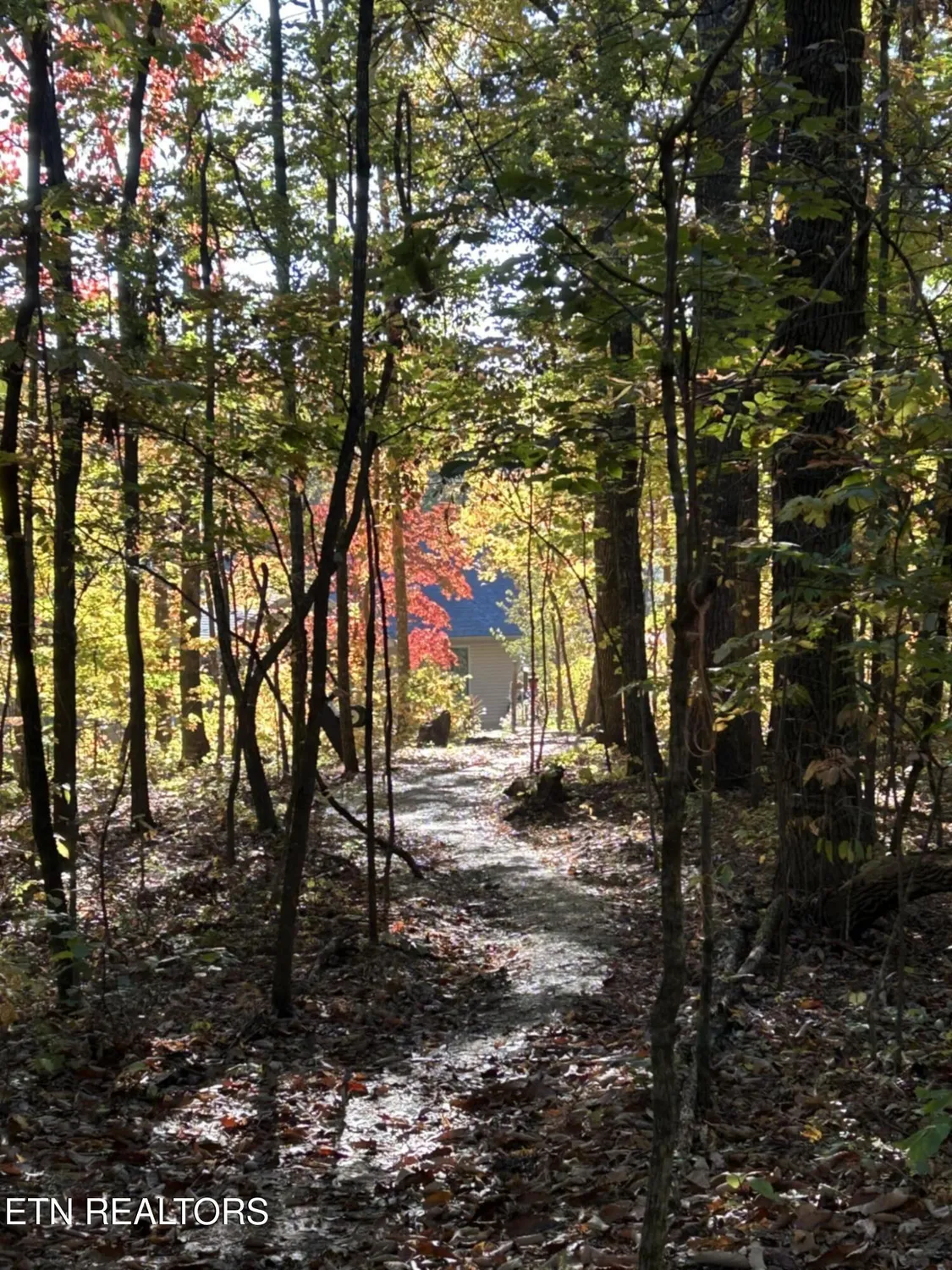 Property Slideshow image 10 of 60 | 130 folkstone rd, Crossville, TN, 38558