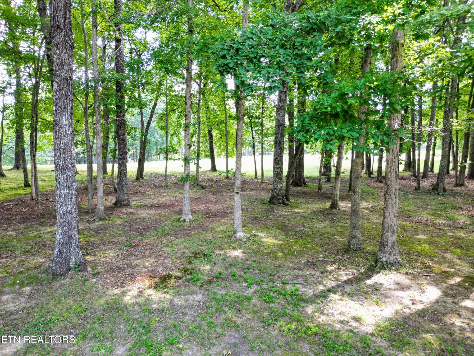 Property Slideshow image 13 of 49 | 215 snead dr, Crossville, TN, 38558