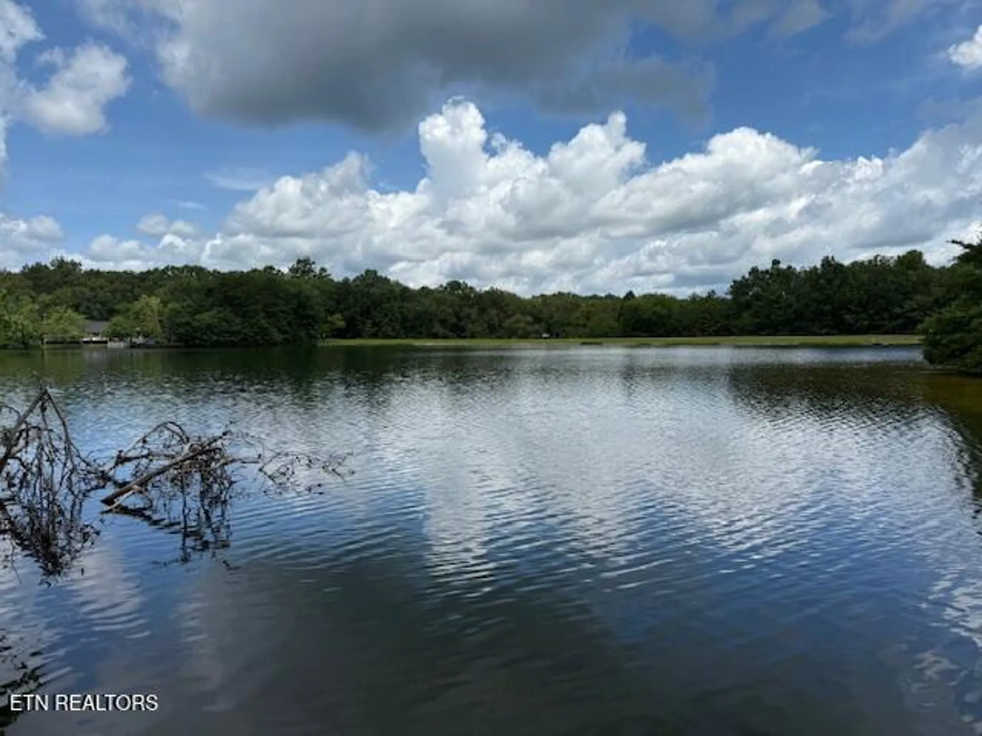 Property Slideshow image 5 of 58 | 16 pomeroy ct, Crossville, TN, 38558