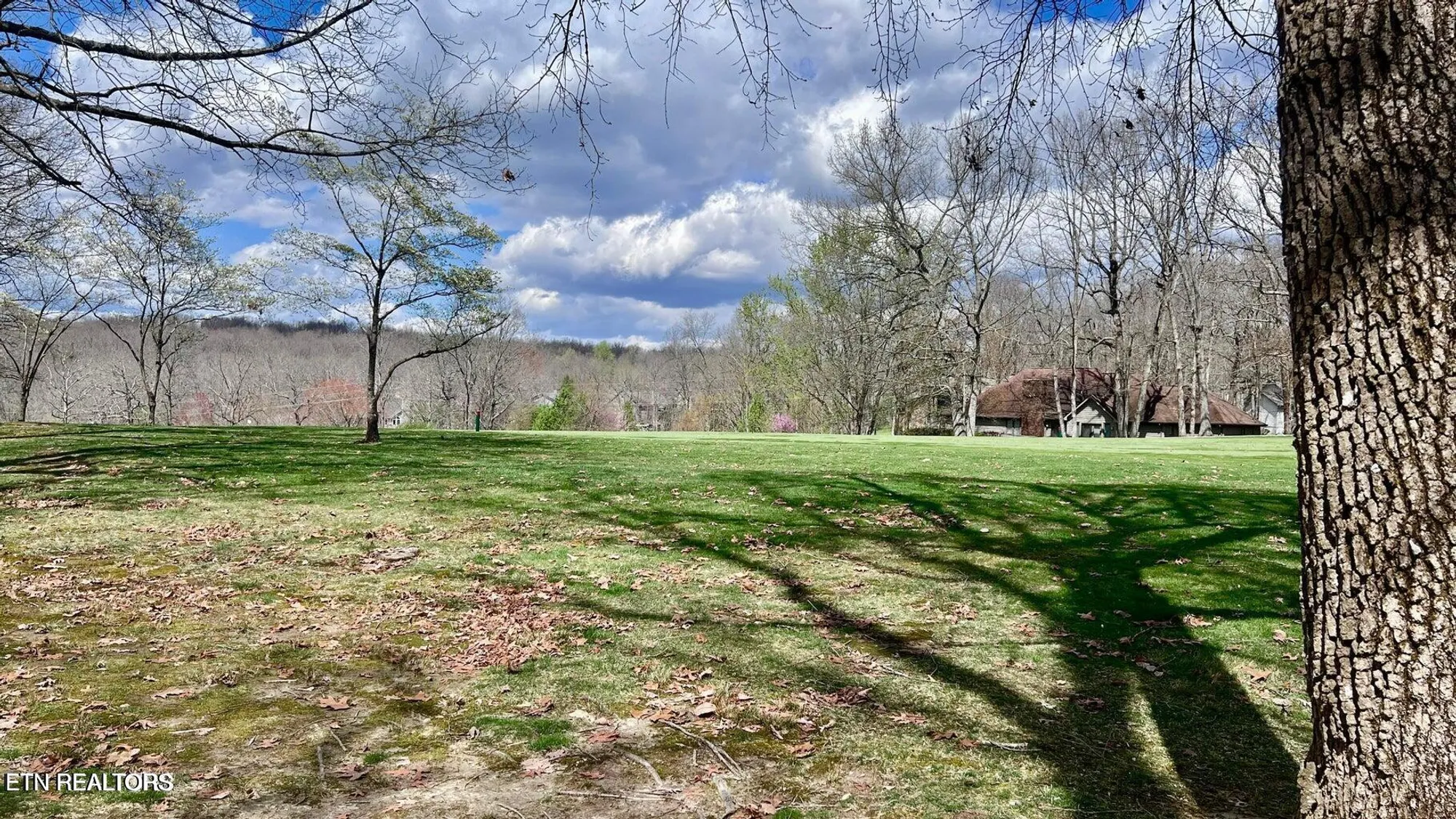 Property Slideshow image 12 of 49 | 215 snead dr, Crossville, TN, 38558