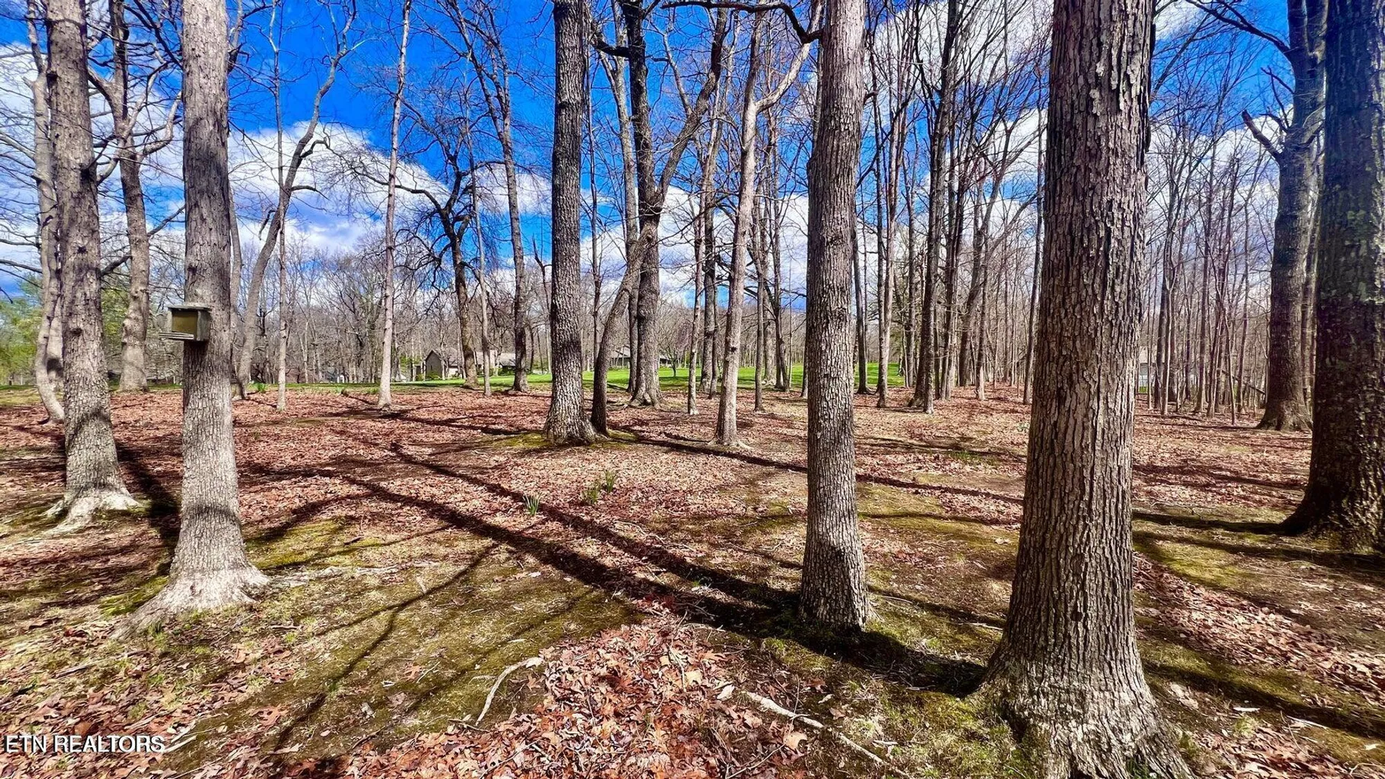 Property Slideshow image 48 of 49 | 215 snead dr, Crossville, TN, 38558