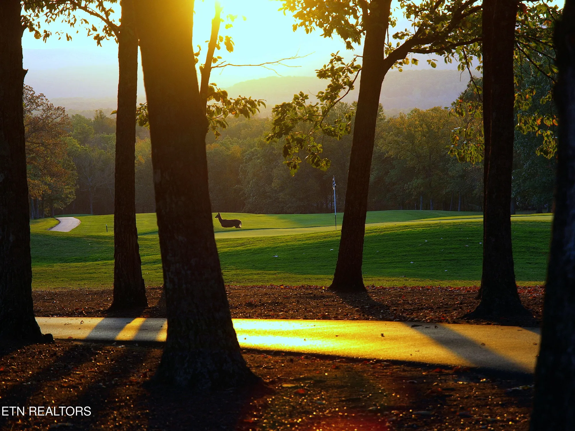 Property Slideshow image 46 of 57 | 701 westchester dr, Crossville, TN, 38558
