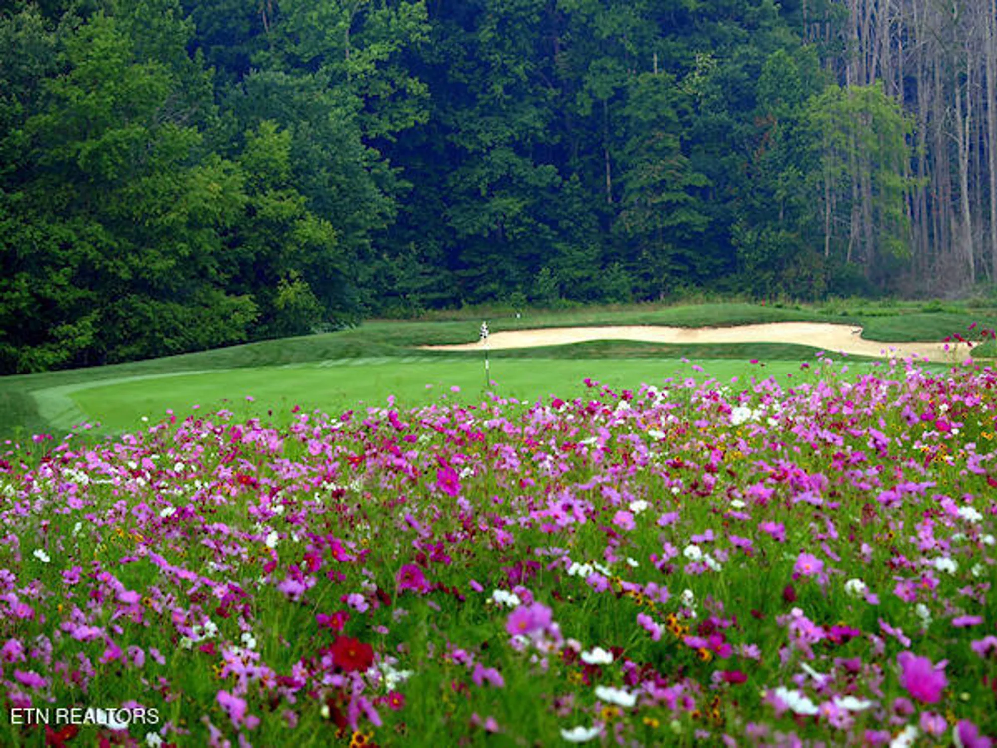 Property Slideshow image 39 of 57 | 701 westchester dr, Crossville, TN, 38558