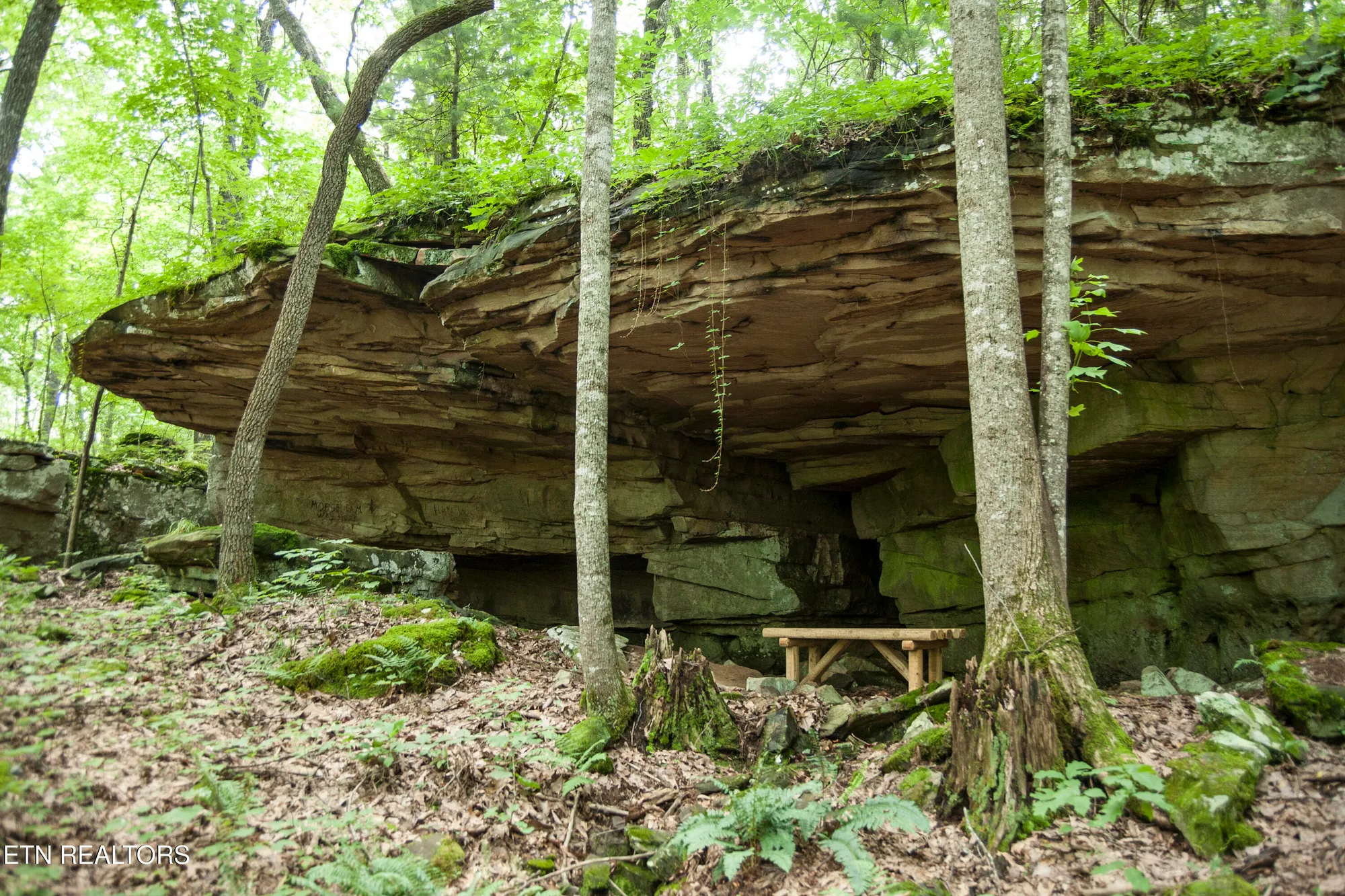 Property Slideshow image 32 of 57 | 701 westchester dr, Crossville, TN, 38558
