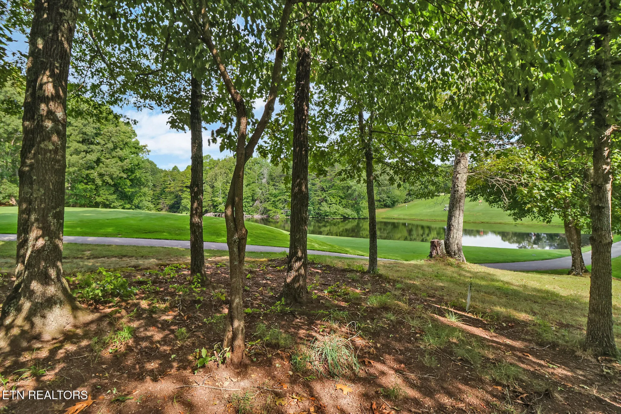 Property Slideshow image 45 of 52 | 37 clinebrook dr, Crossville, TN, 38558