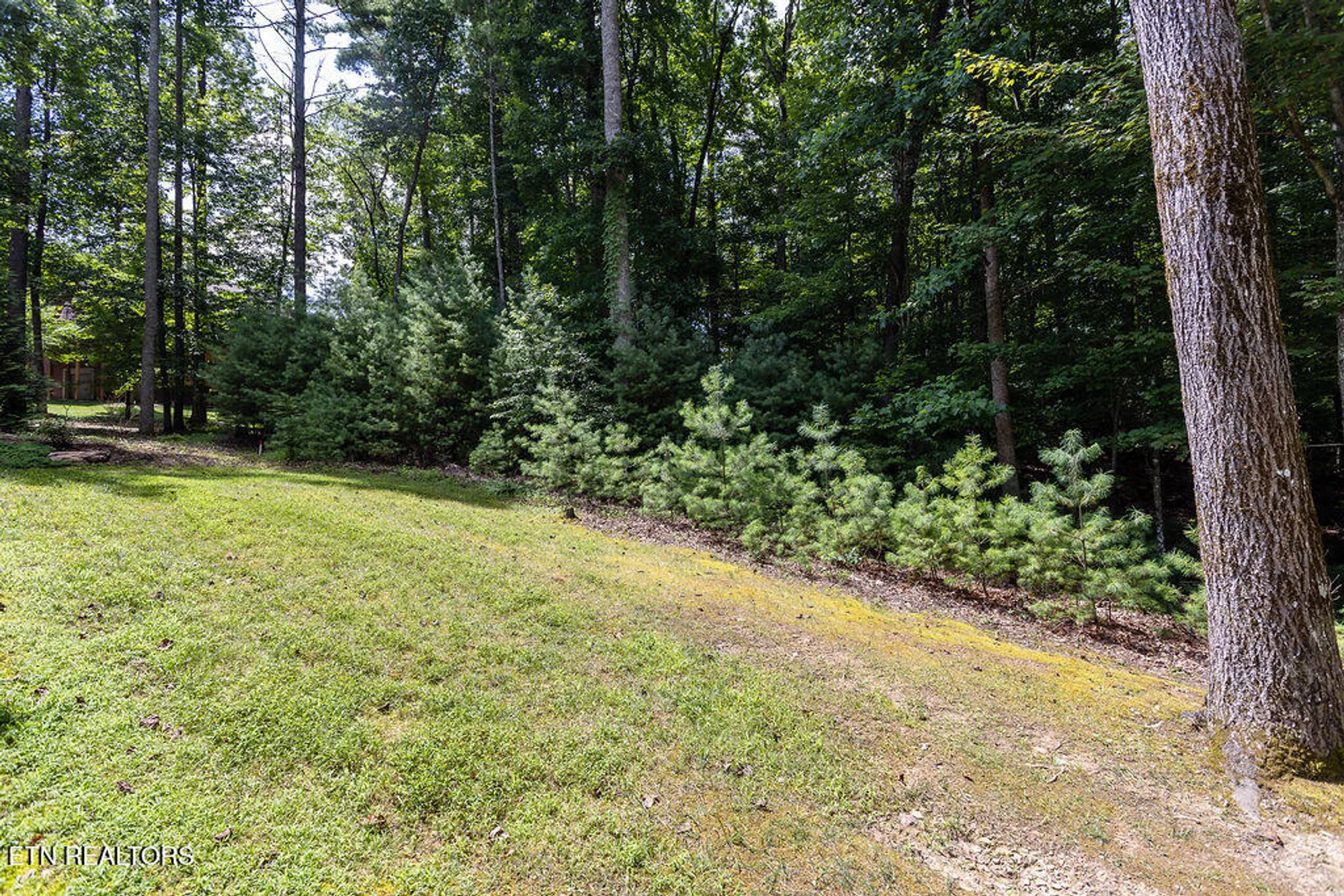 Property Slideshow image 51 of 56 | 77 abington pl, Crossville, TN, 38558