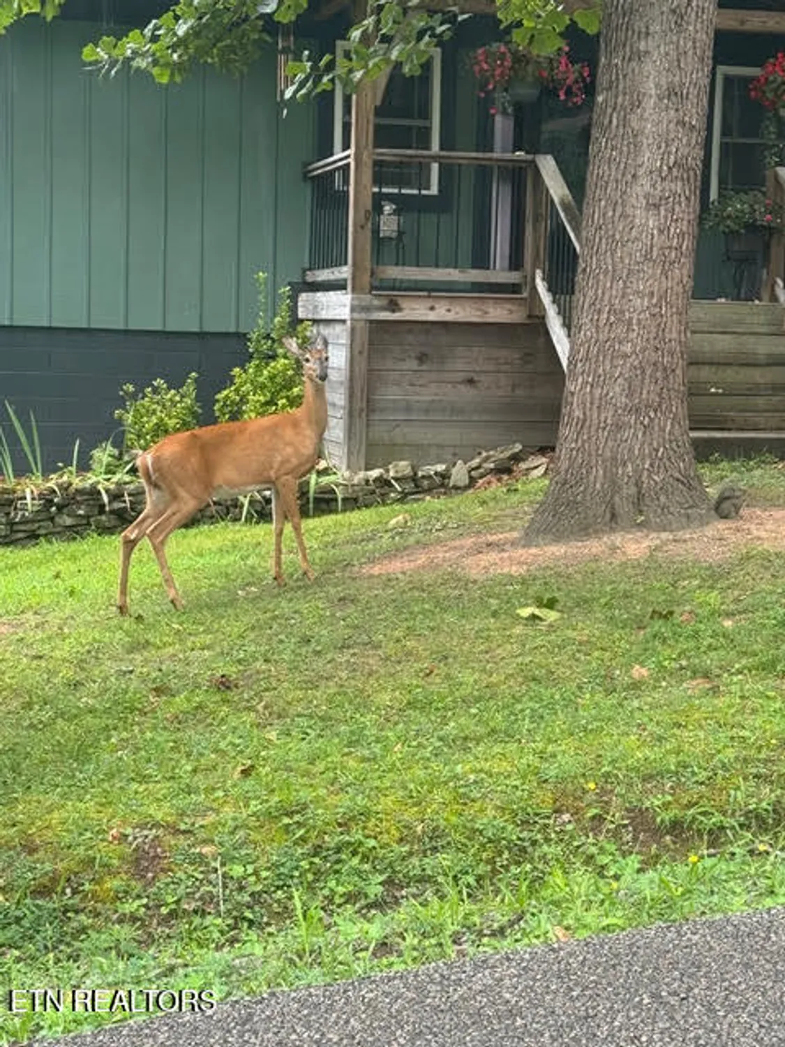 Property Slideshow image 56 of 56 | 112 jasper dr, Crossville, TN, 38558