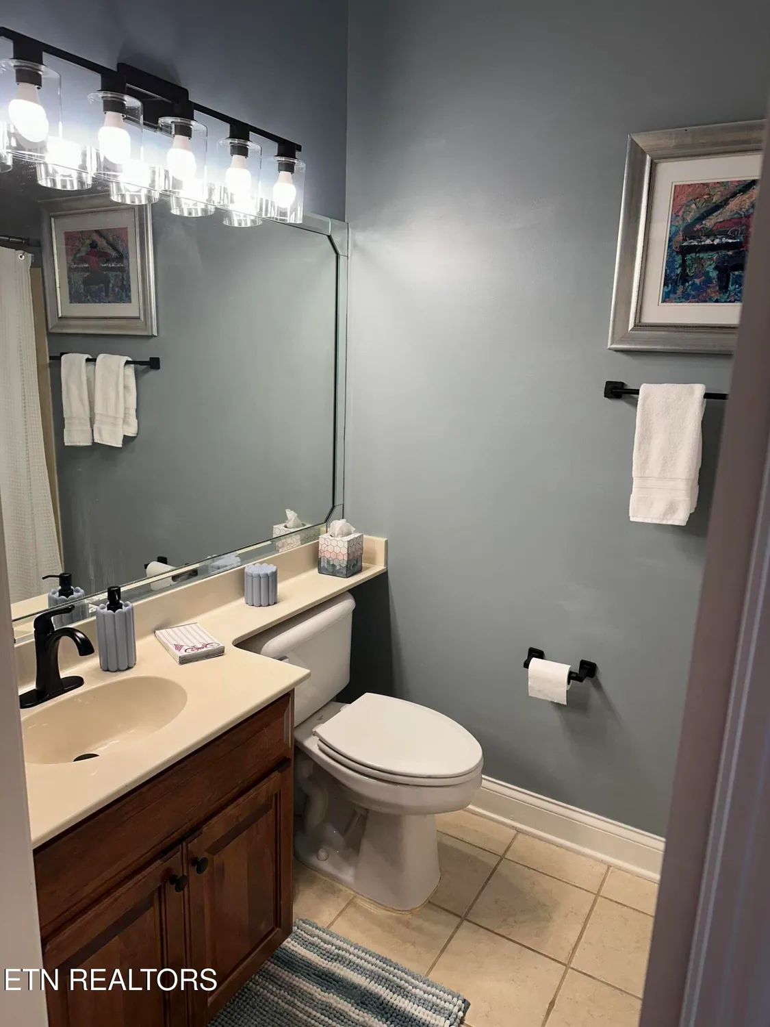 Property Slideshow image 13 of 34 | 535 rarity bay pkwy apt 304, Vonore, TN, 37885