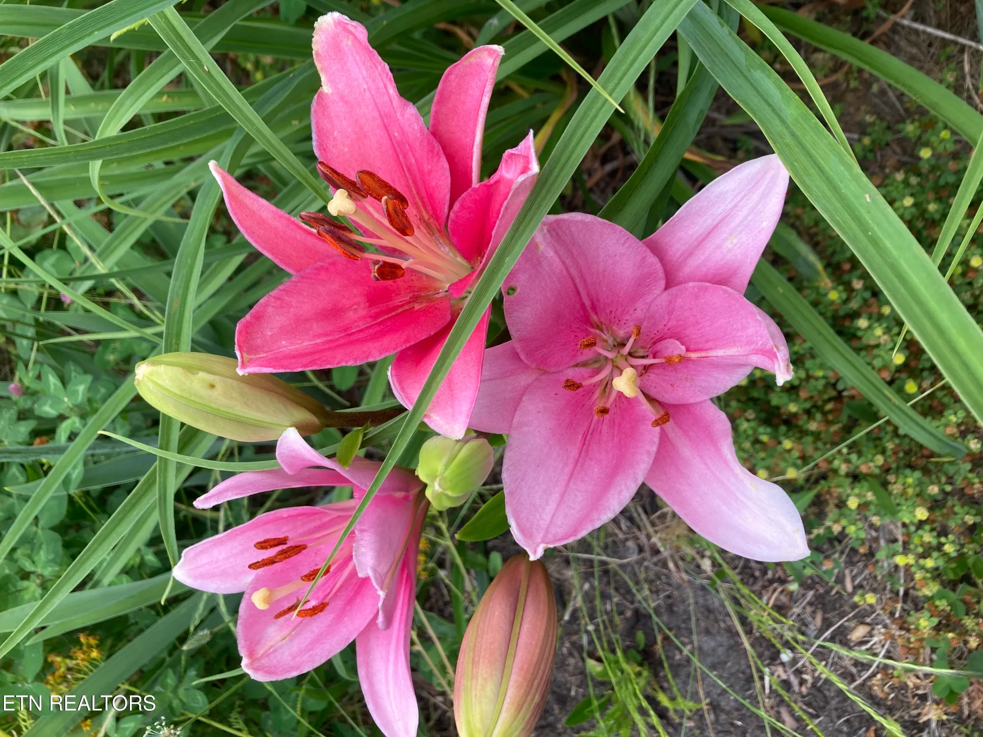 Property Slideshow image 26 of 29 | 108 pocola way, Loudon, TN, 37774