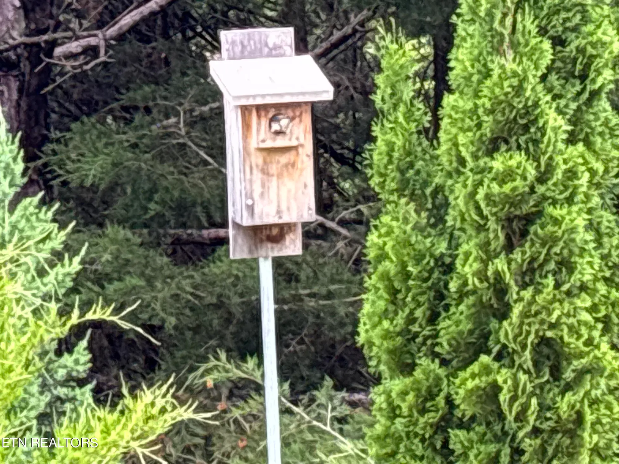 Property Slideshow image 27 of 29 | 108 pocola way, Loudon, TN, 37774