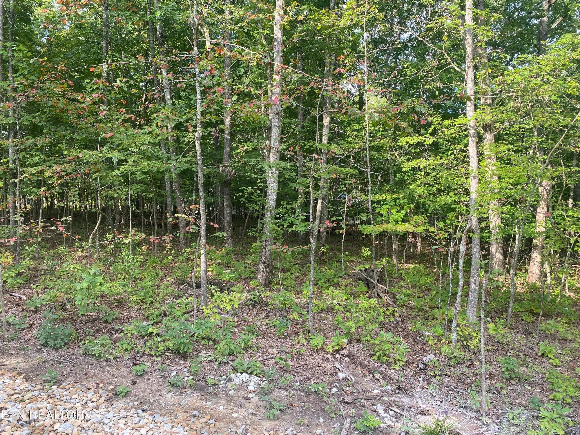 Property Slideshow image 30 of 35 | 233 albemarle cir, Crossville, TN, 38558