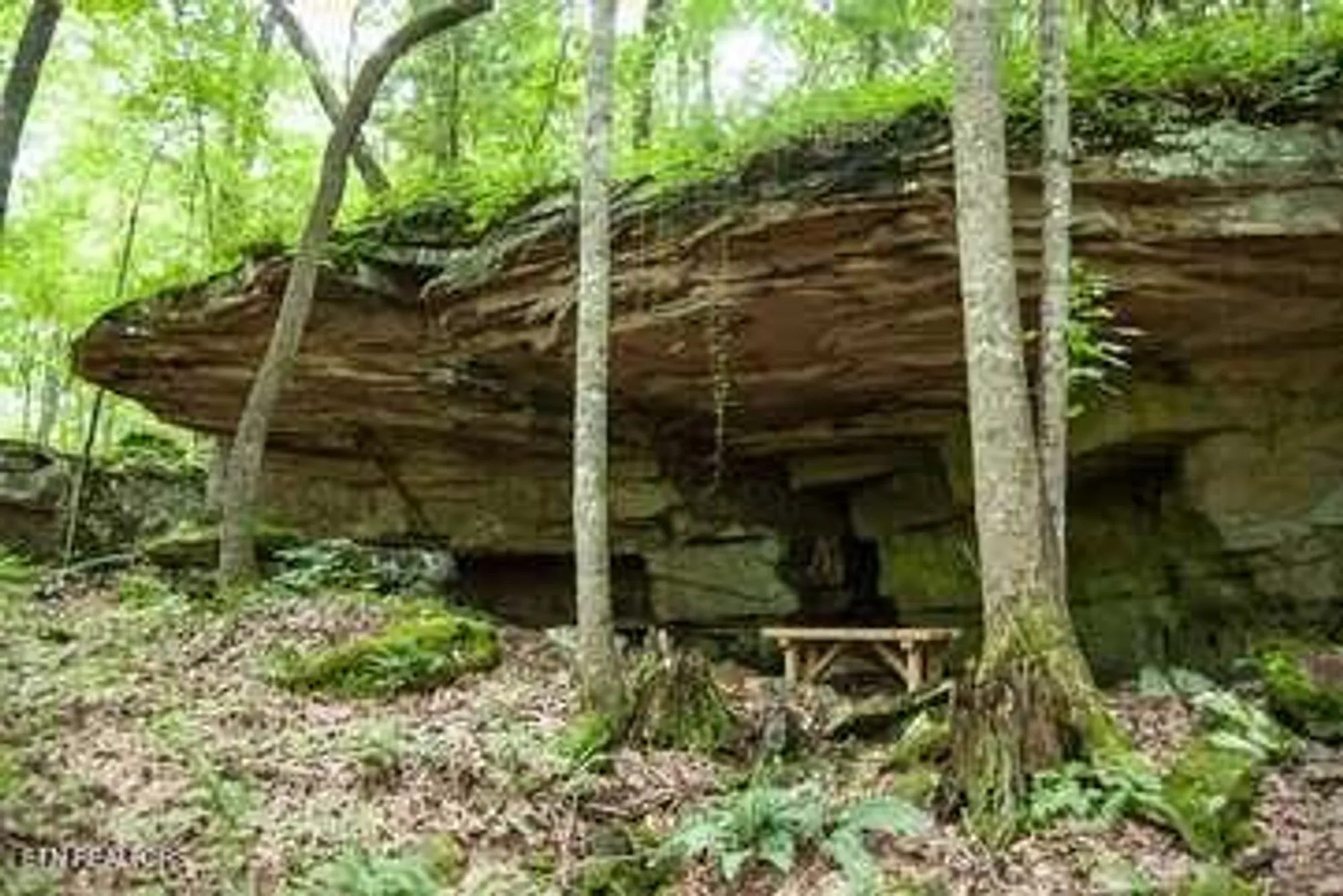 Property Slideshow image 49 of 53 | 125 forest hill dr, Crossville, TN, 38558