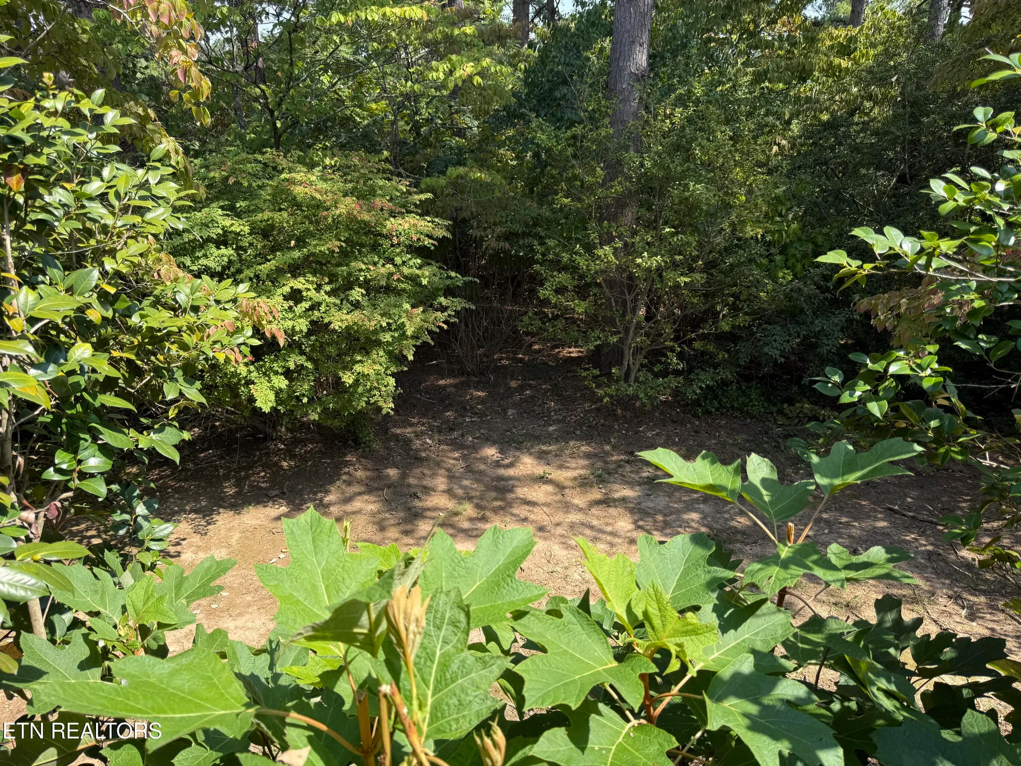 Property Slideshow image 33 of 37 | 100 quapaw cir, Loudon, TN, 37774