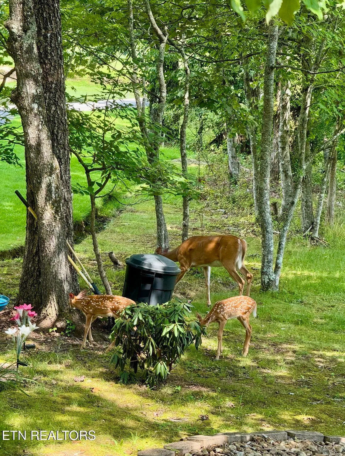 Property Slideshow image 40 of 42 | 138 baltusrol rd, Crossville, TN, 38558