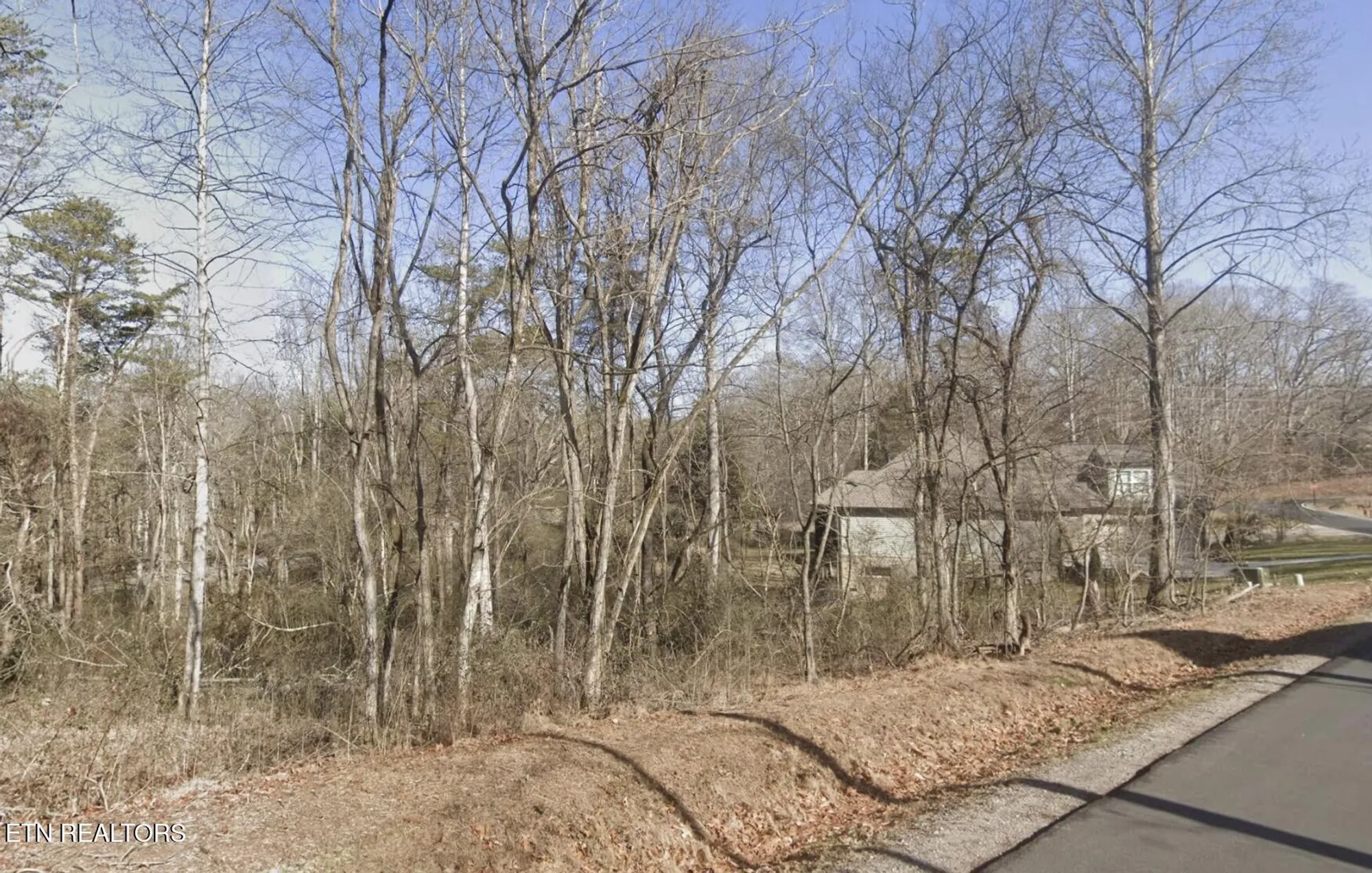 Property Slideshow image 10 of 11 | 105 chanusi way, Loudon, TN, 37774