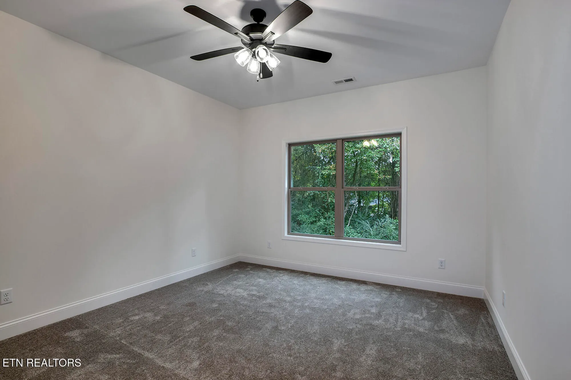 Property Slideshow image 37 of 58 | 172 utsesti way, Loudon, TN, 37774